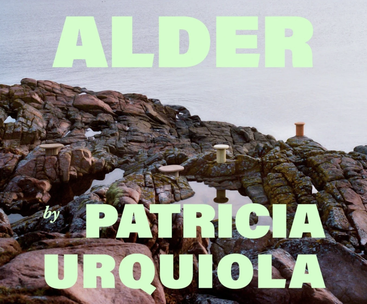 Screenshot 2026-04-15 at 11.44.27.png