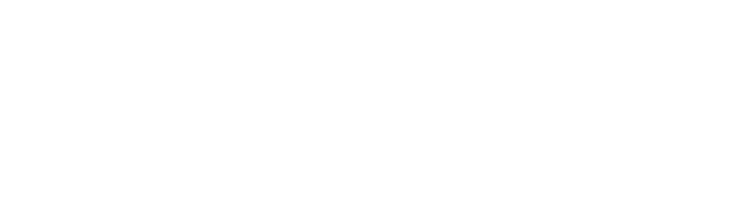 Blue Castle Insights
