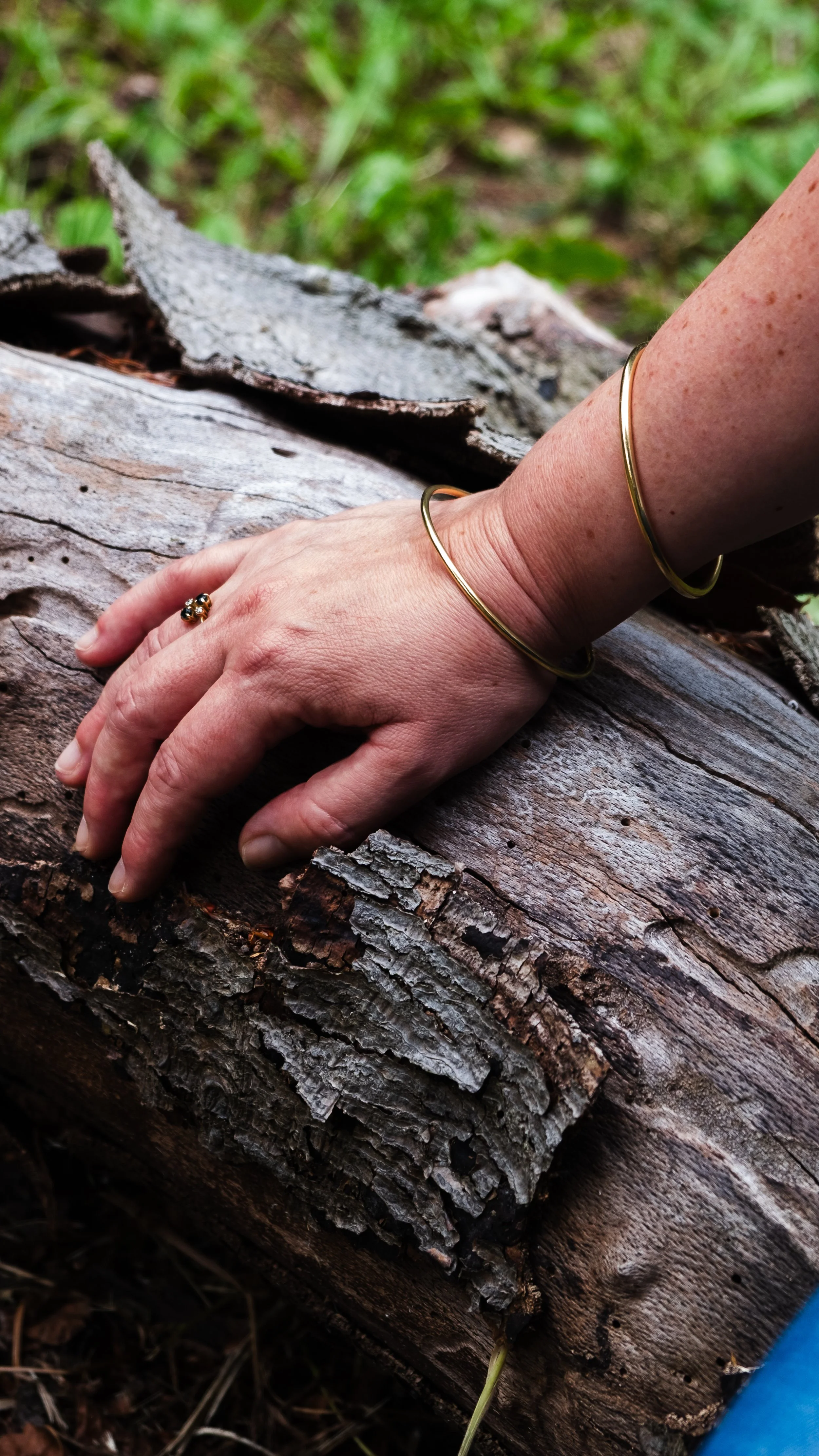 A person's hand resting on a fallen tree trunk with bark peeling, outdoors with green grass in the background.