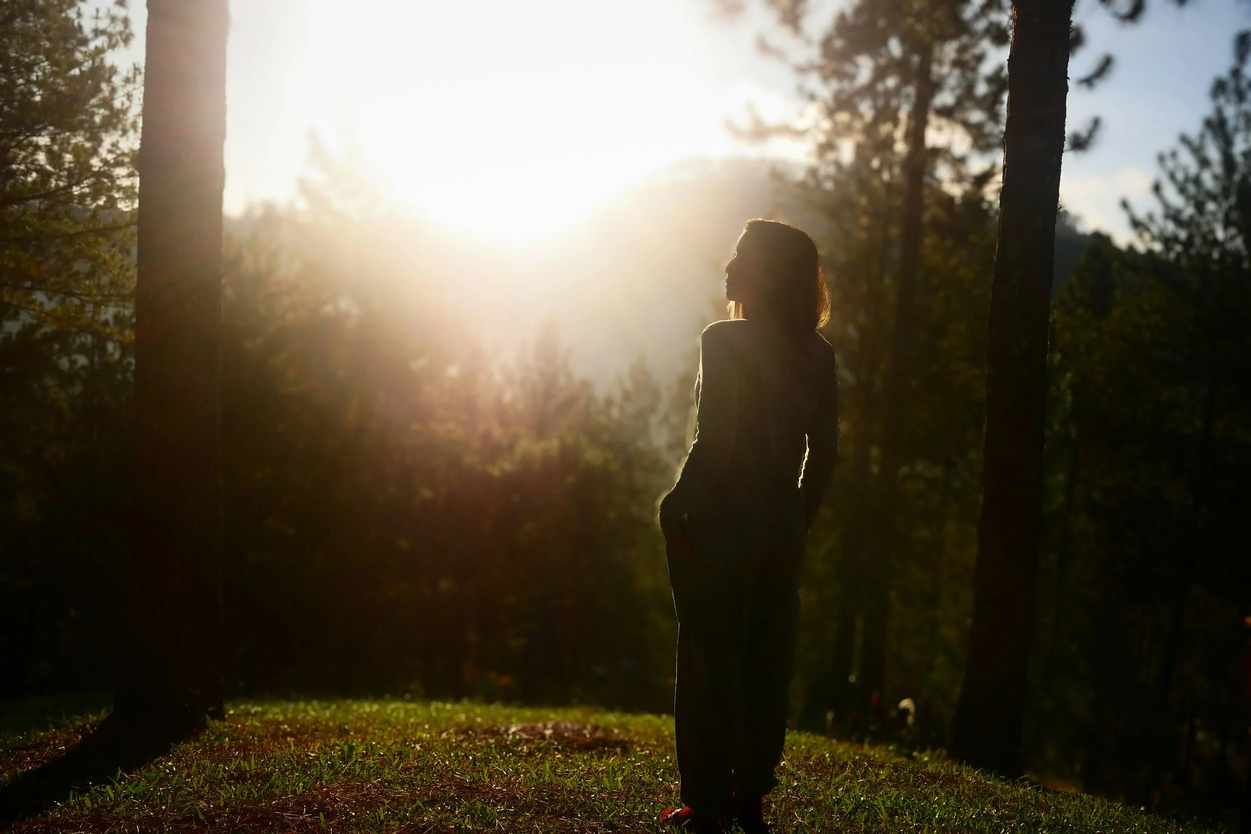 A woman standing in a forested area during sunset, with sunlight shining brightly behind her, casting a silhouette.