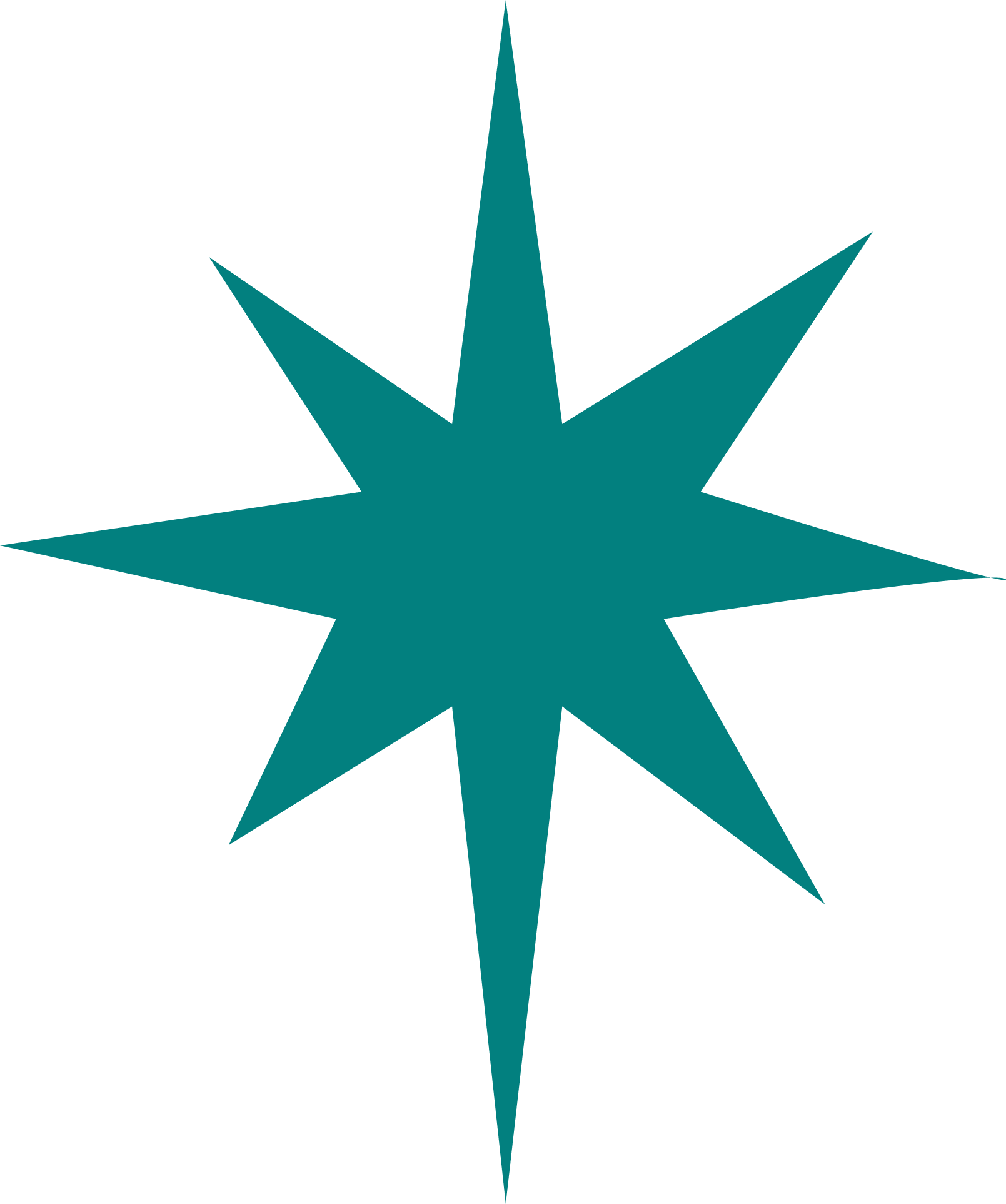 A teal-colored eight-pointed star with a black outline, set against a transparent background.