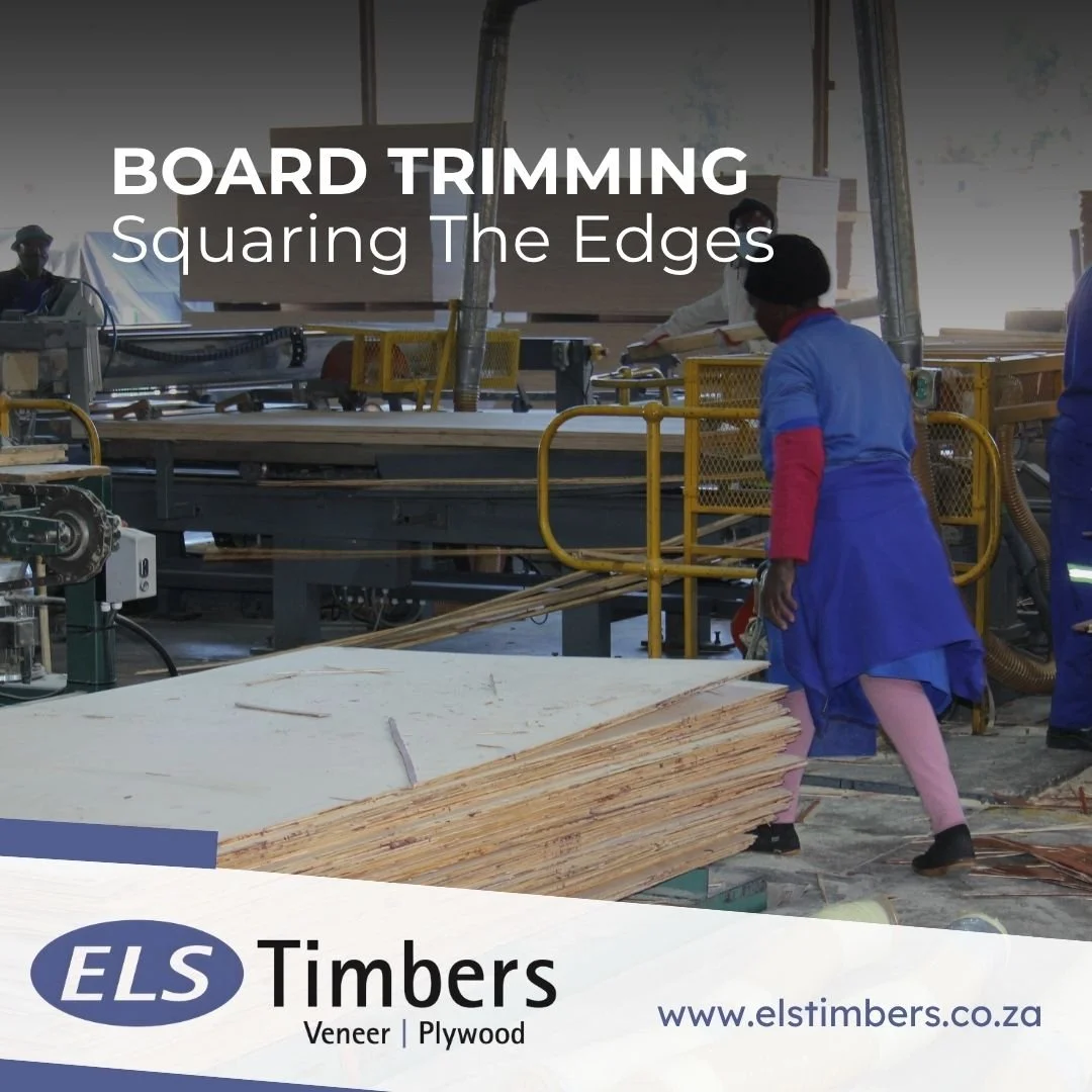 A finished panel needs more than strength, it needs accuracy. Each board is squared and trimmed to the standard 1220 &times; 2440 mm sheet size, with a tolerance of just &plusmn;1.5 mm. Because when you're building, the details matter.
www.elstimbers