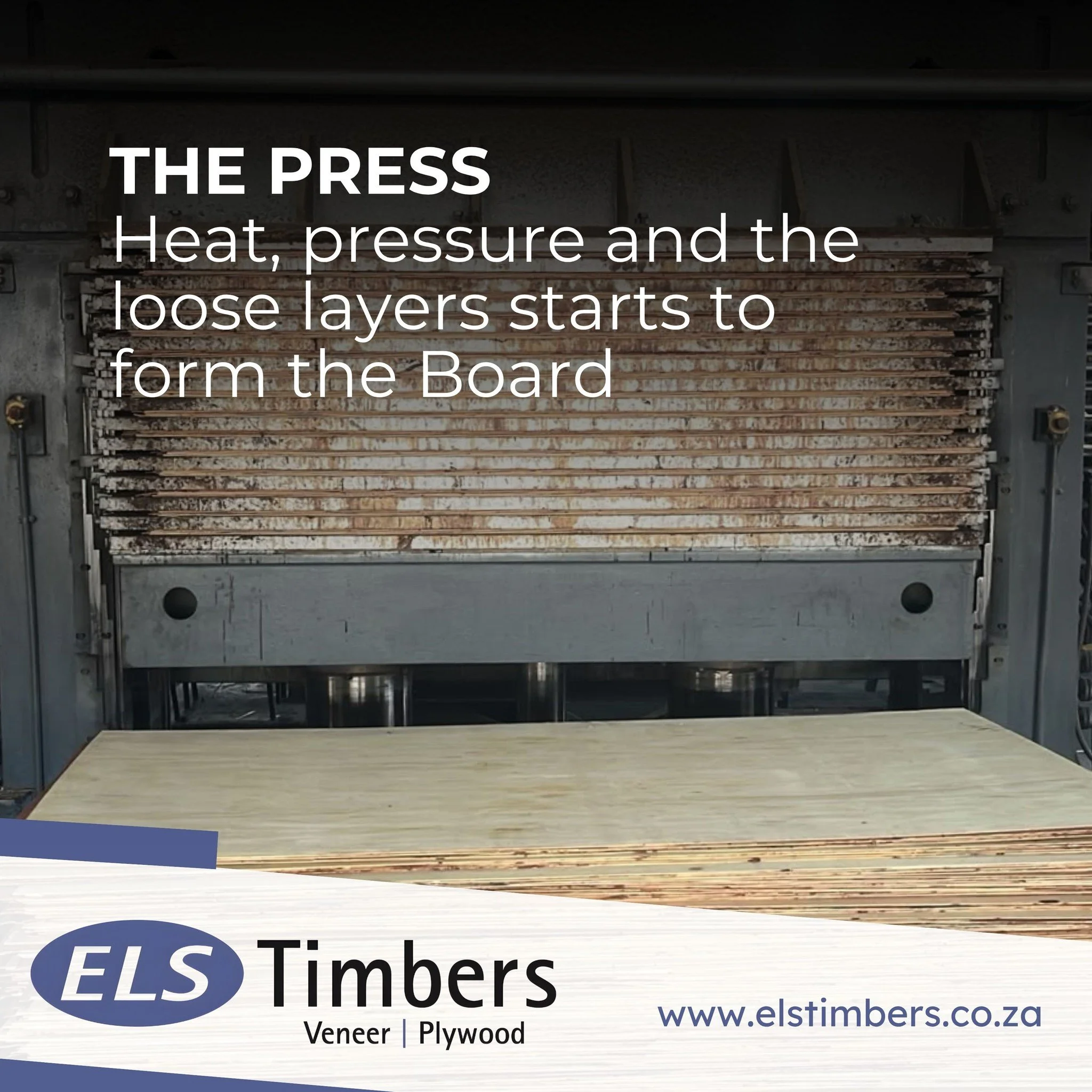 Layer by layer the veneers come together under heat and pressure. This is where individual sheets become one solid structural panel. Strong, stable and ready for the next stage. No shortcuts. Just a process built around getting it right.
www.elstimbe