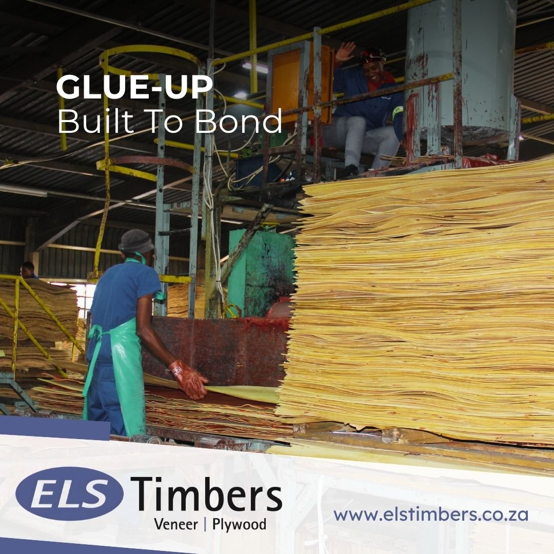 Once the veneer is dry the layers are laid cross-grain and bonded together with WBP phenol-formaldehyde resin. The same permanently waterproof adhesive is used across the ELS Timbers range. This creates a bond built for demanding conditions and exter