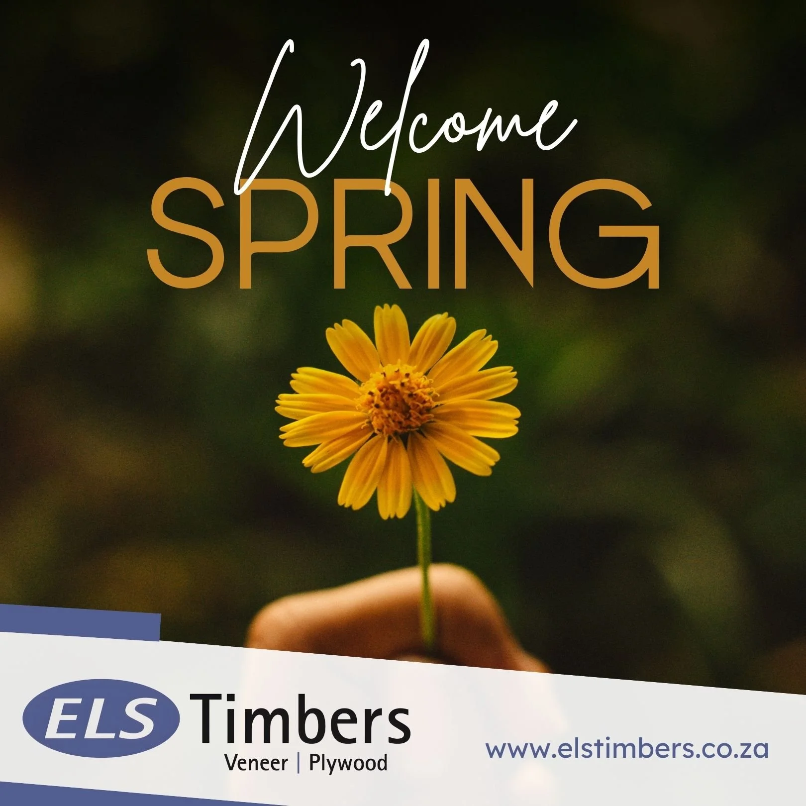Welcome Spring!New season, new growth. As the forests we source from come back to life, we're reminded that everything we produce starts with what's growing out there, long before it ever reaches our yard. Here's to a season of new growth on the land