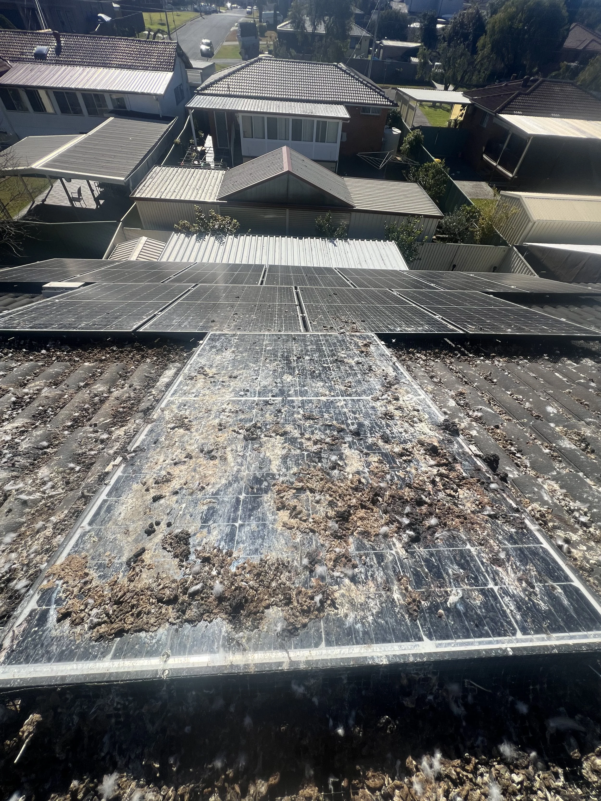 View of residential houses from the roof with solar panels, showing rooftops and backyards.