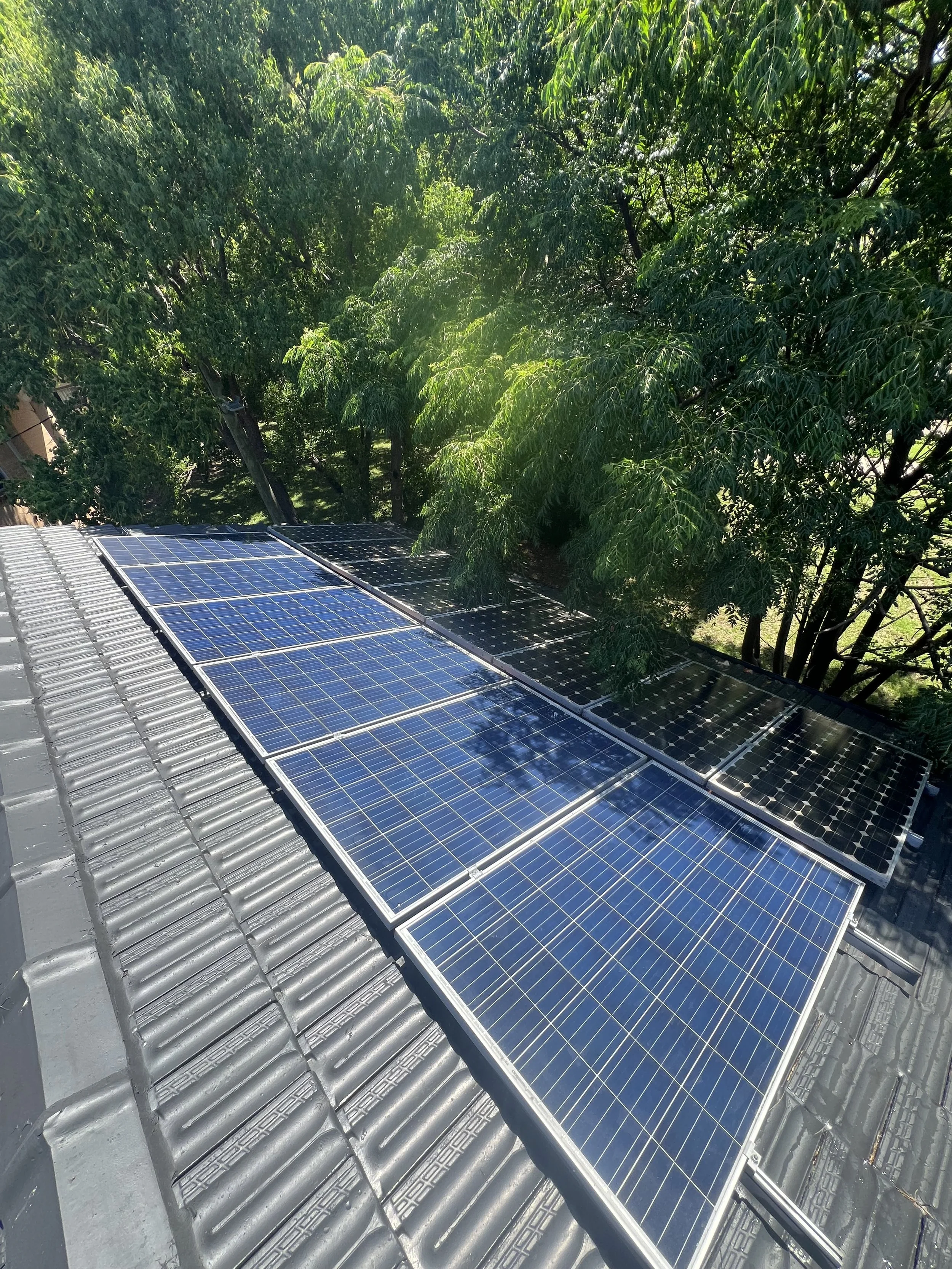 Solar panels installed on a rooftop with trees in the background.