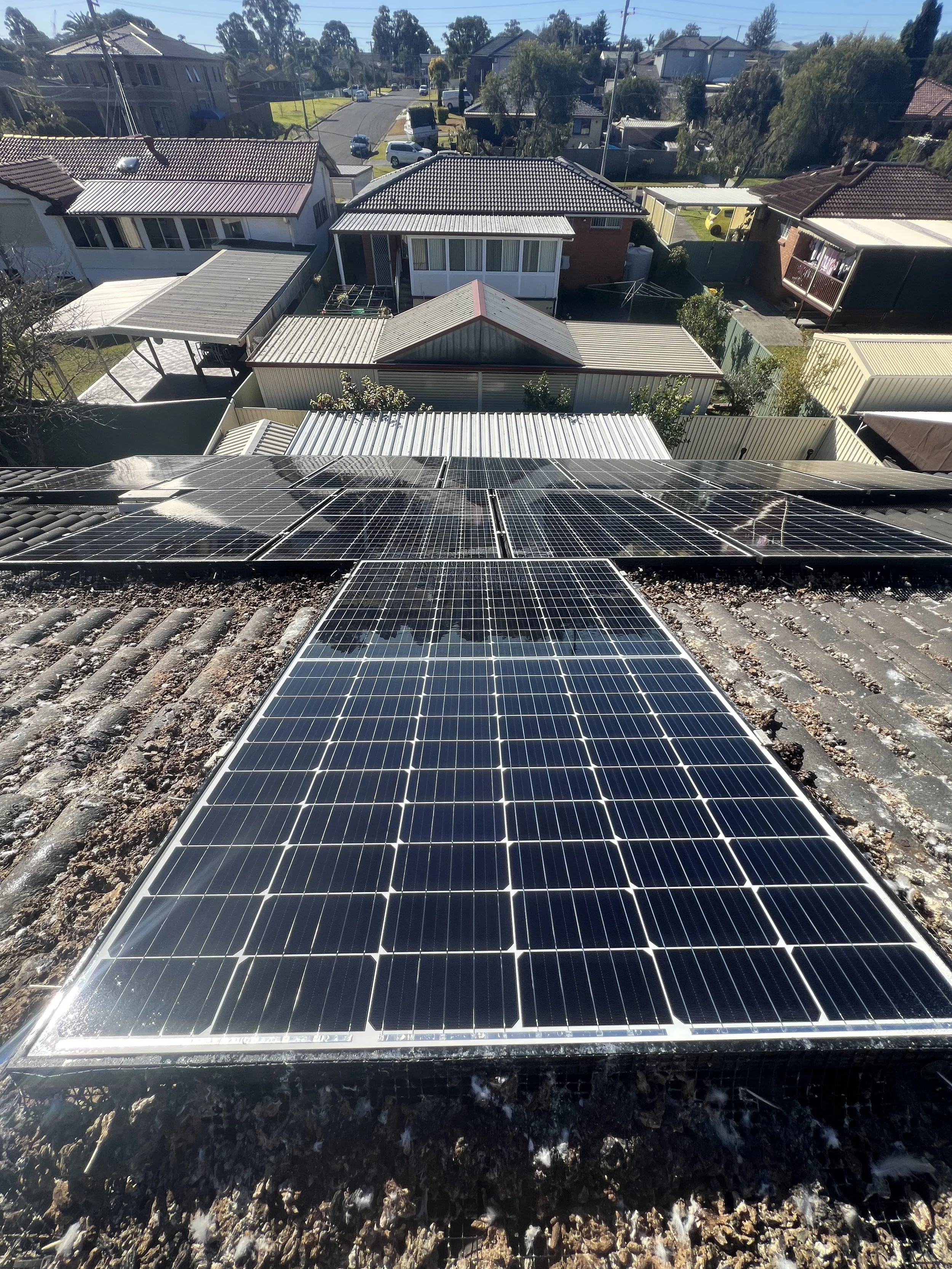 View of houses with solar panels installed on rooftops in a suburban neighborhood during daytime.