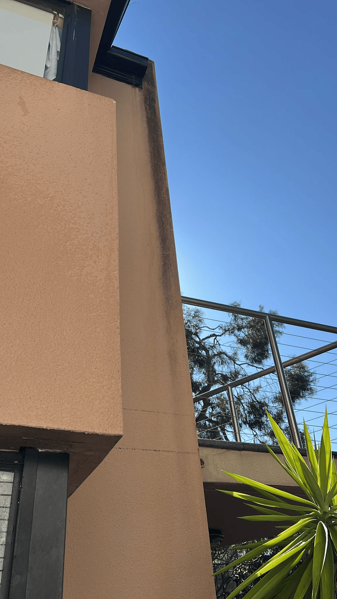 A house with beige walls, a black gutter, part of a sliding door, and a railing. There is a green plant with long, pointed leaves in front of the house. The sky is clear and blue, with trees visible in the background.
