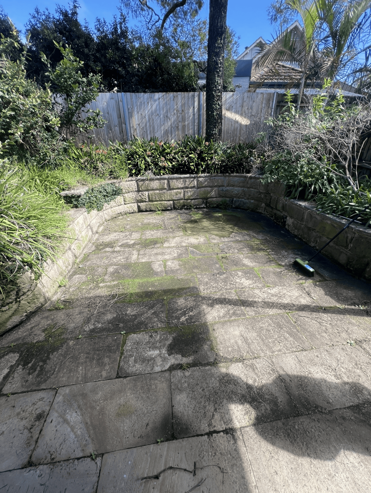 Backyard garden with stone patio, overgrown plants, a tree, a wooden fence, and a black rope with a device on the ground.