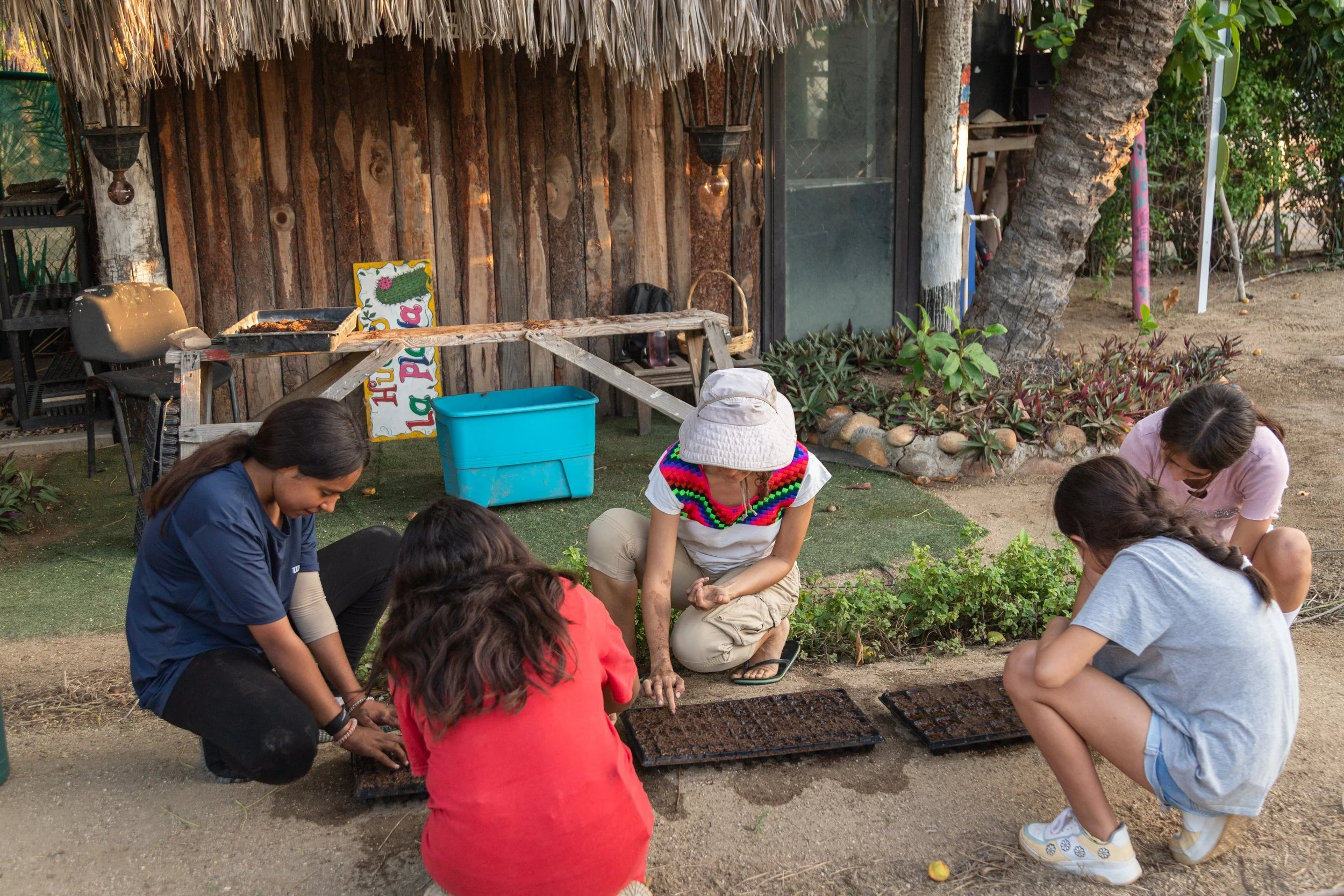 Grupo de personas trabajando en un huerto, algunos arrodillados y plantando semillas o plantas pequeñas, rodeados de plantas y vegetación en un ambiente al aire libre con una estructura de madera con techo de paja en el fondo.