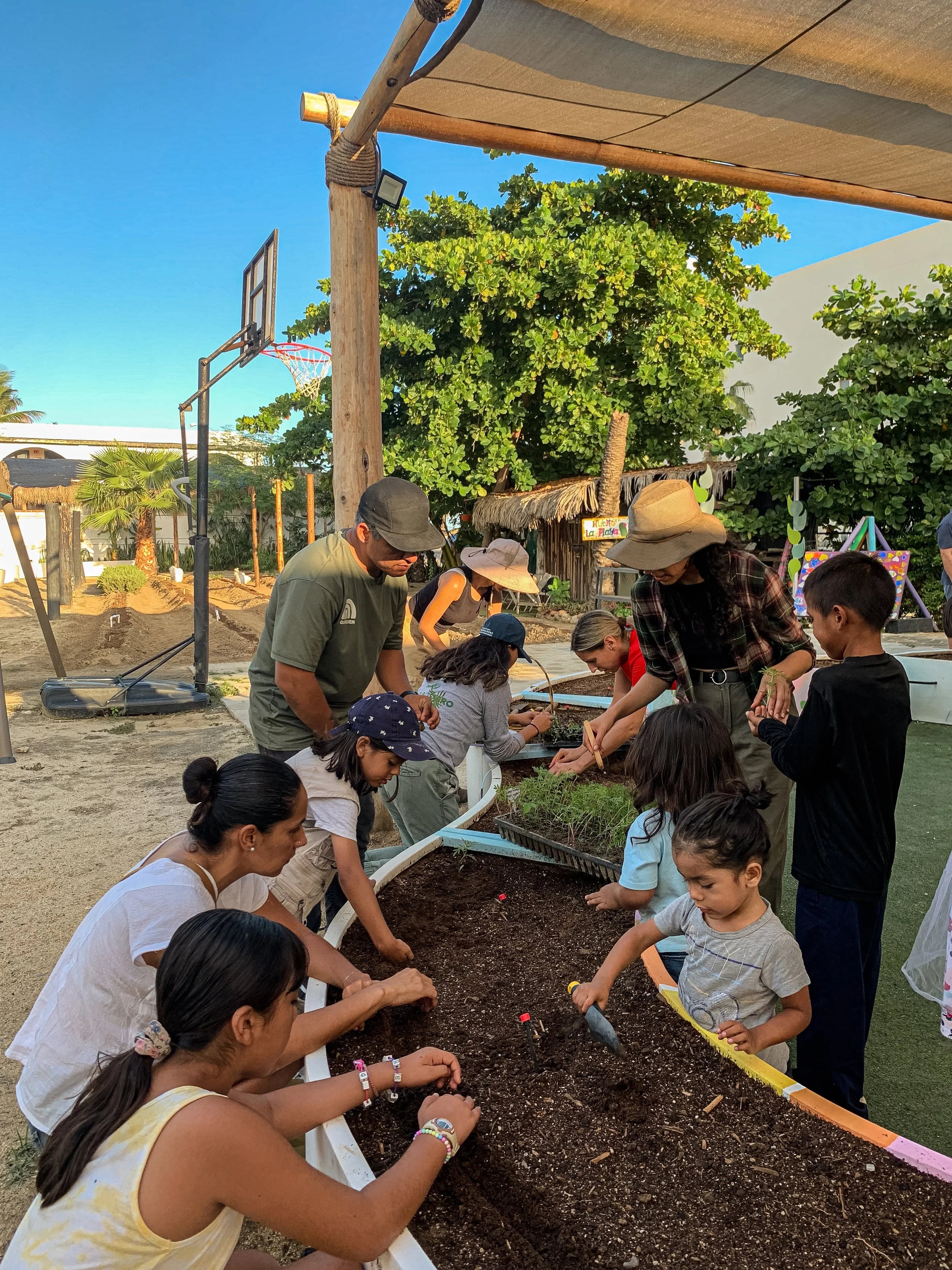 Varias personas participando en una actividad de jardinería en un espacio exterior con árboles verdes y una cancha de baloncesto al fondo, bajo un toldo de lona.
