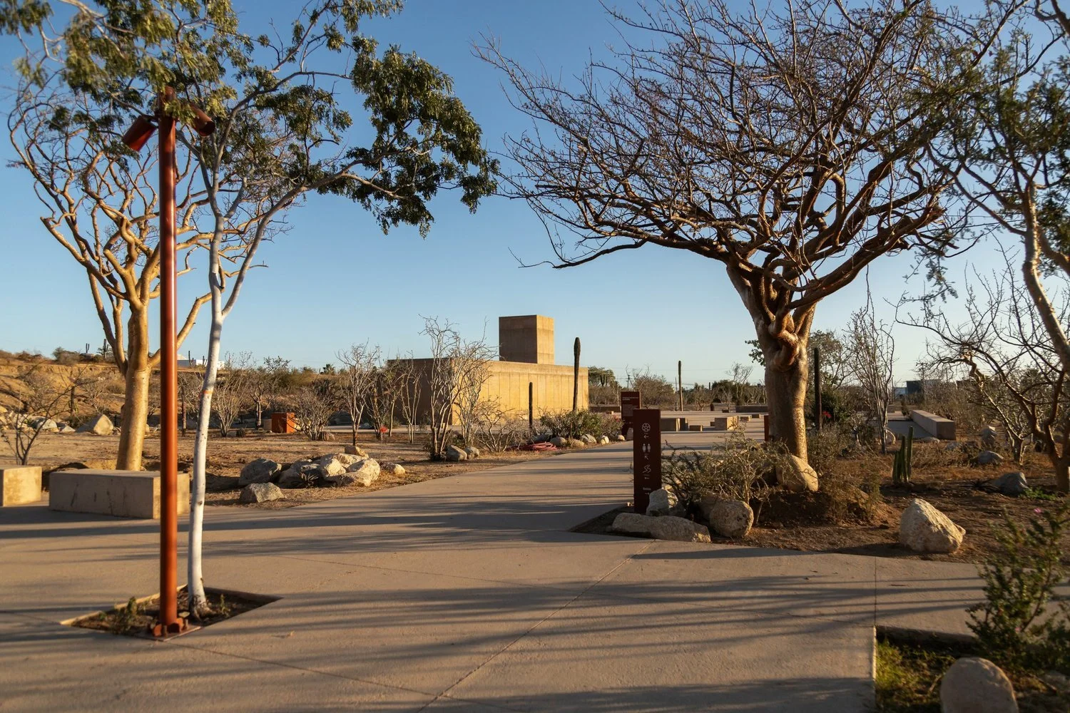 Espacio público con sendero pavimentado, árboles y bancas bajo un cielo despejado.