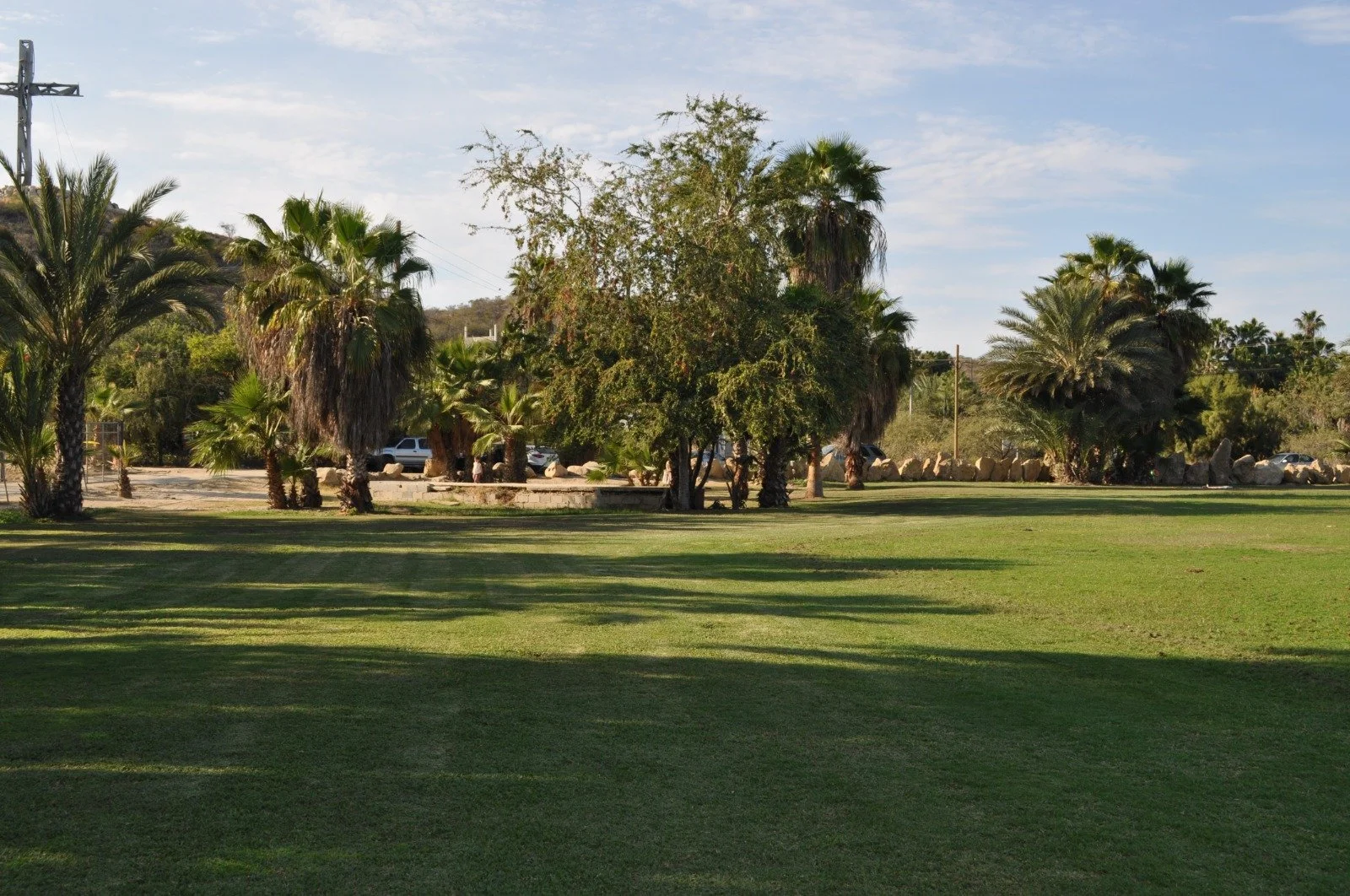 Un parque con césped verde y árboles de palmera y árboles frondosos, bajo un cielo parcialmente nublado.