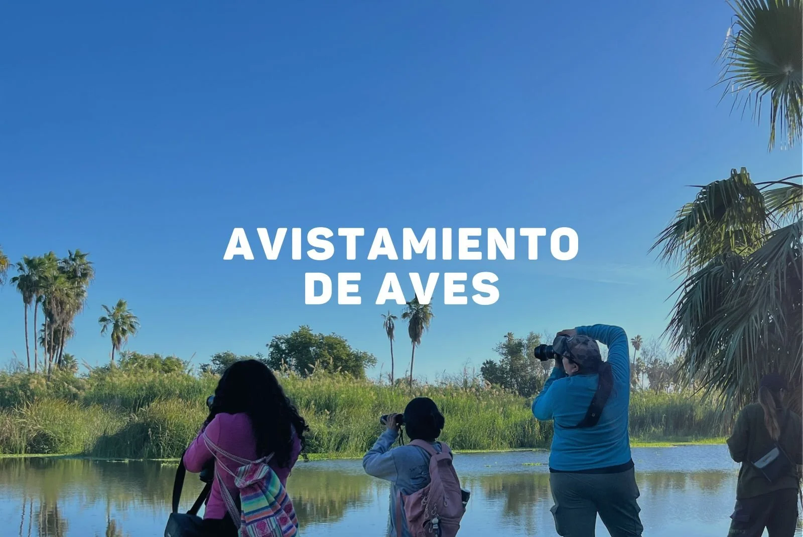 Avistamiento de Aves.jpg