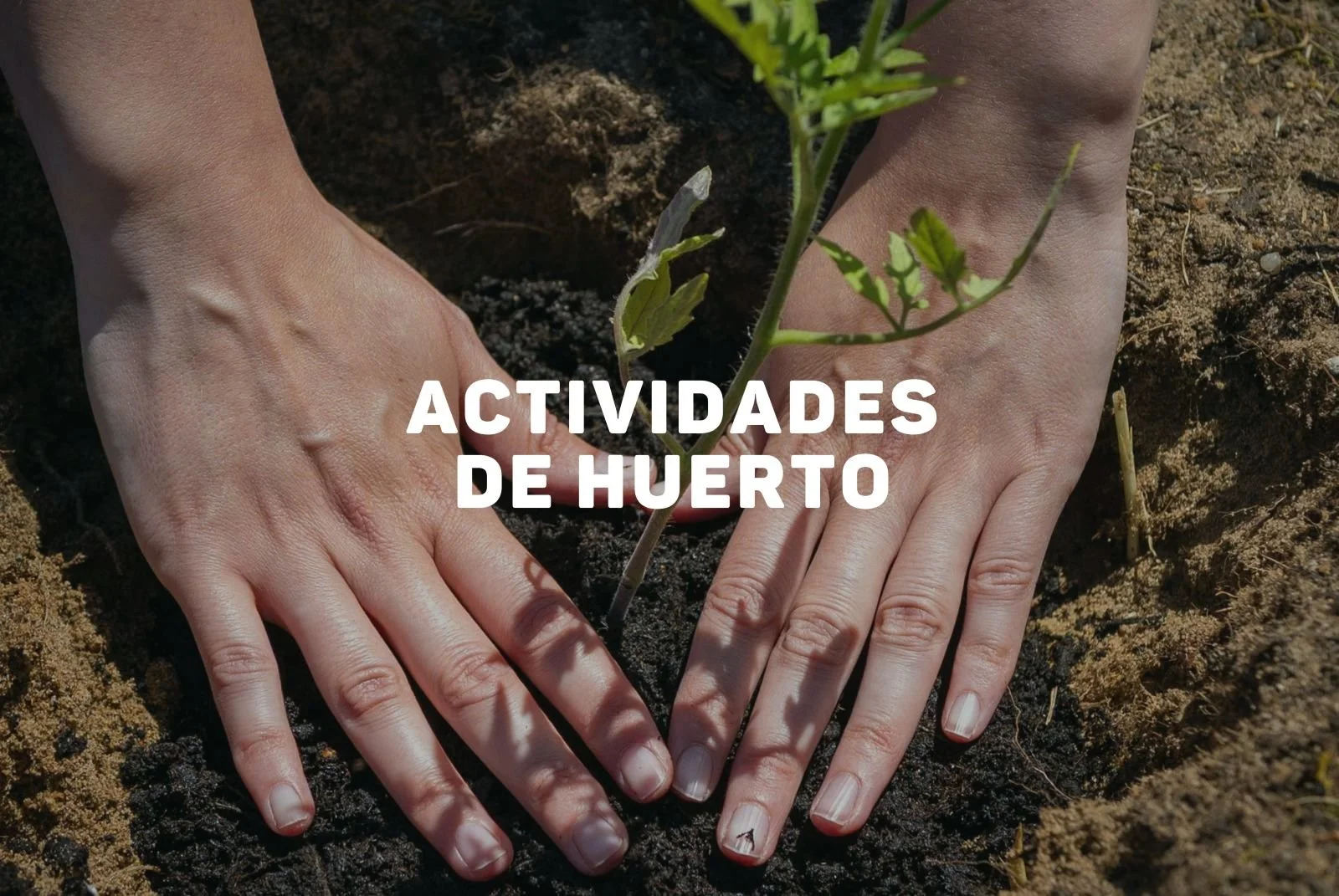 Actividades de Huertos.jpg