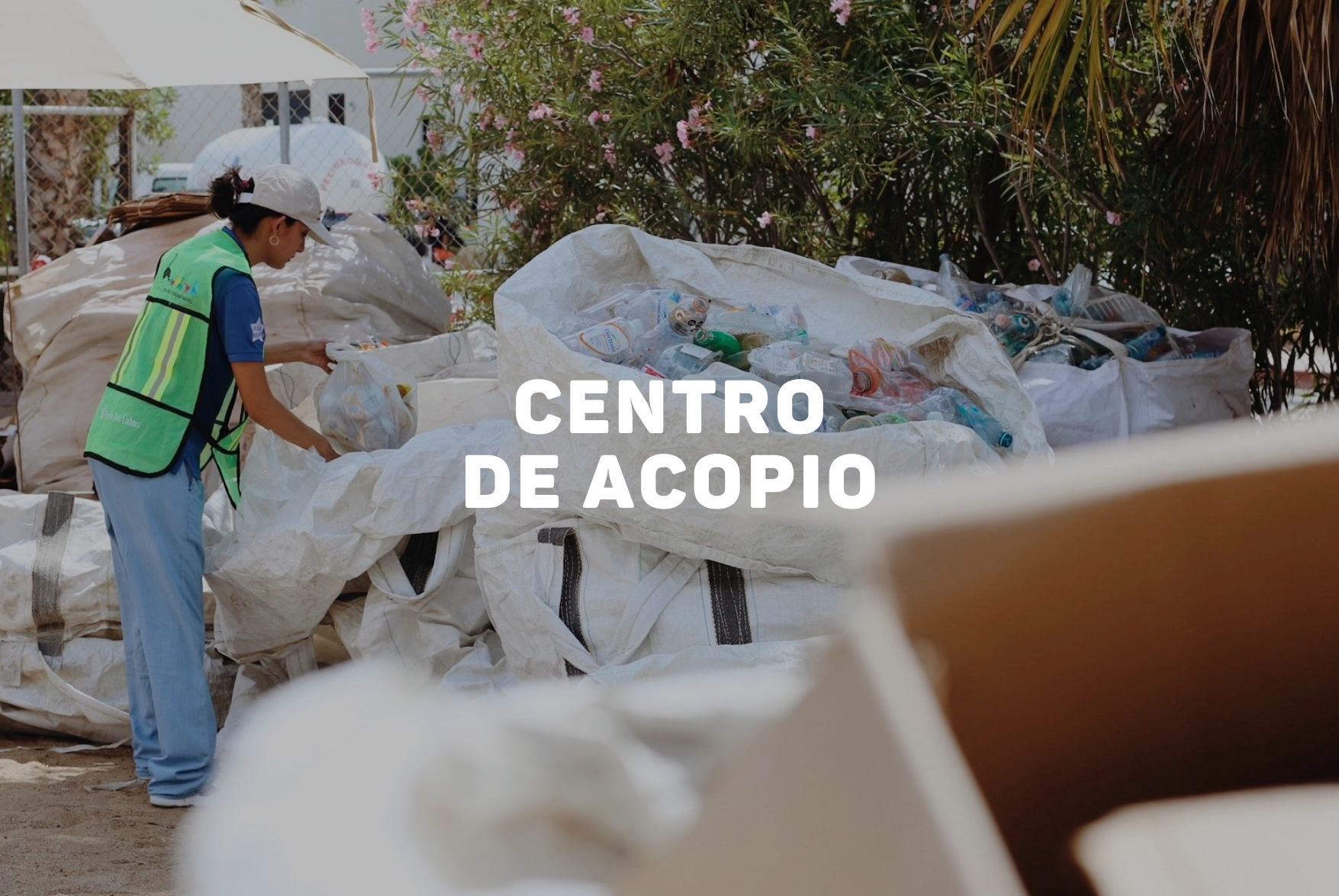 Centro de Acopio (1) (1).png
