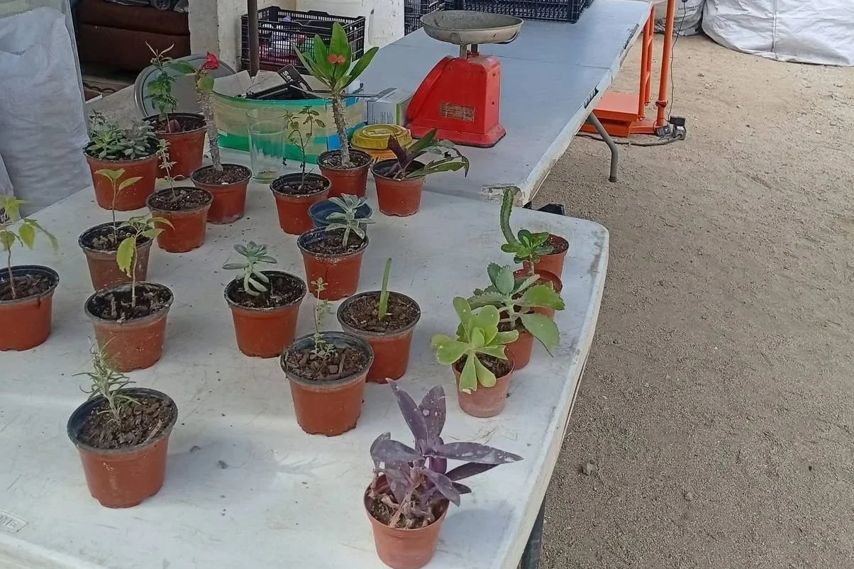 Vecinos de la Comunidad de La Playa fortalece el reciclaje con jornadas semanales de acopio