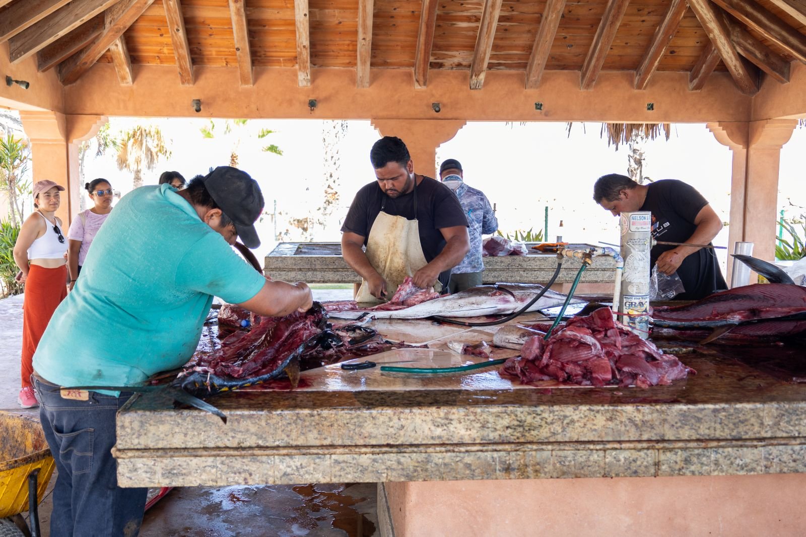 palapas pescadores 1.jpg