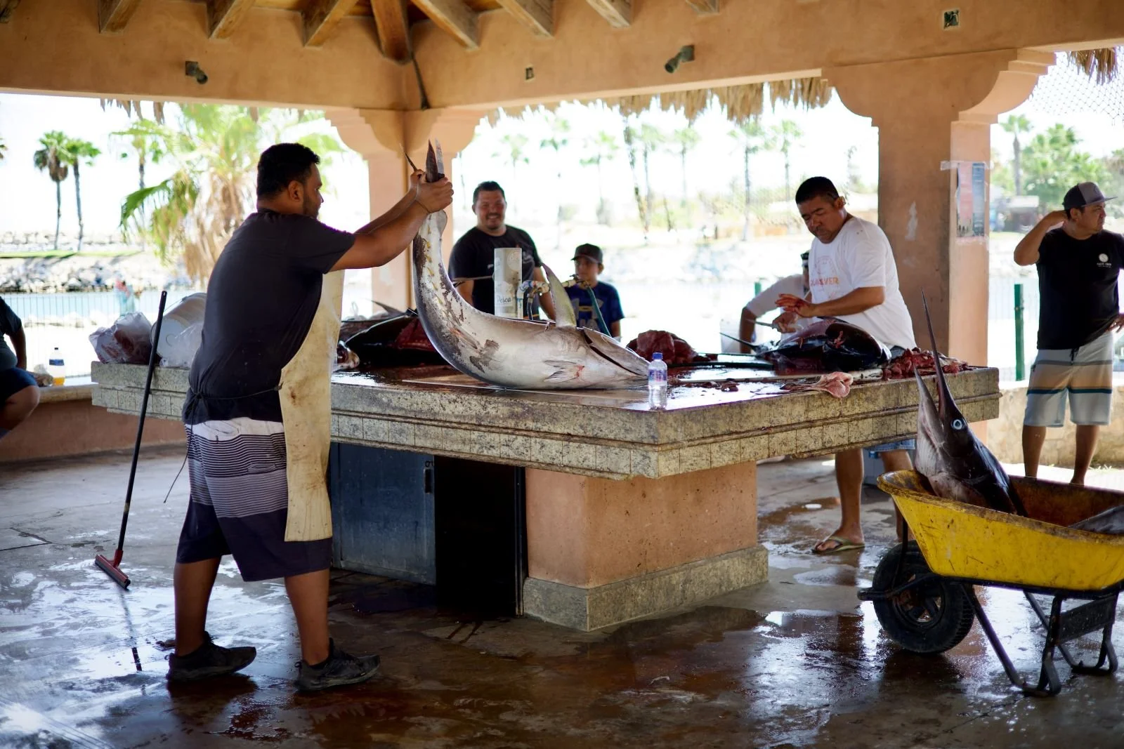 palapas de pescadores 4.jpg