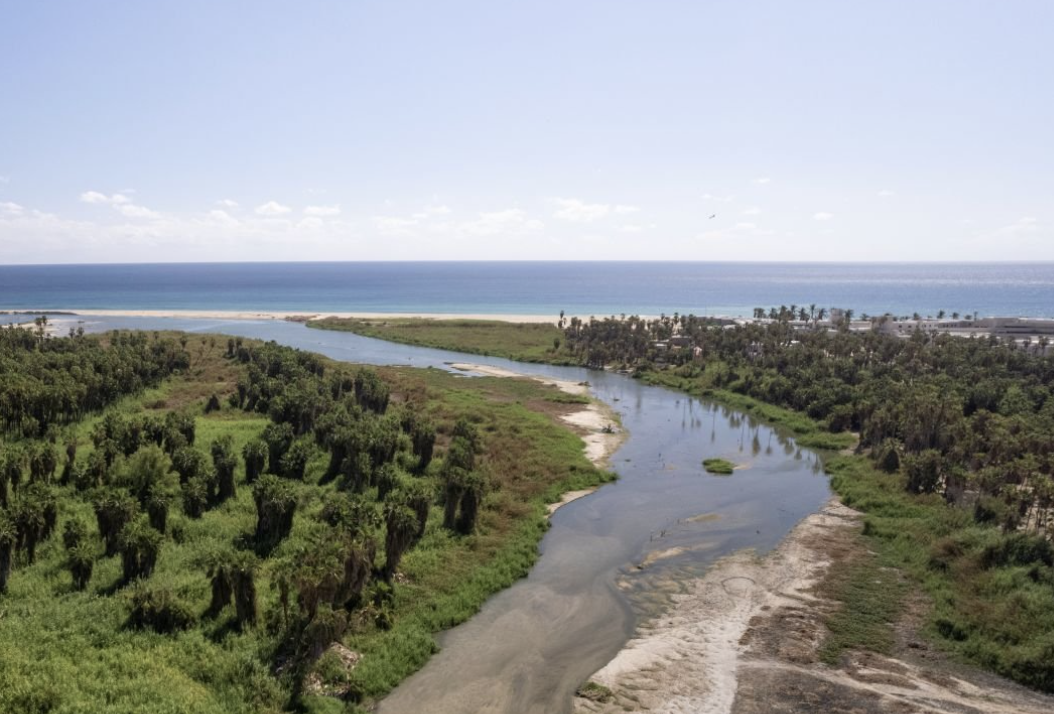 Vista aérea del Estéro de San José del Cabo que desemboca en el mar, rodeado de vegetación y árboles, con cielo despejado.