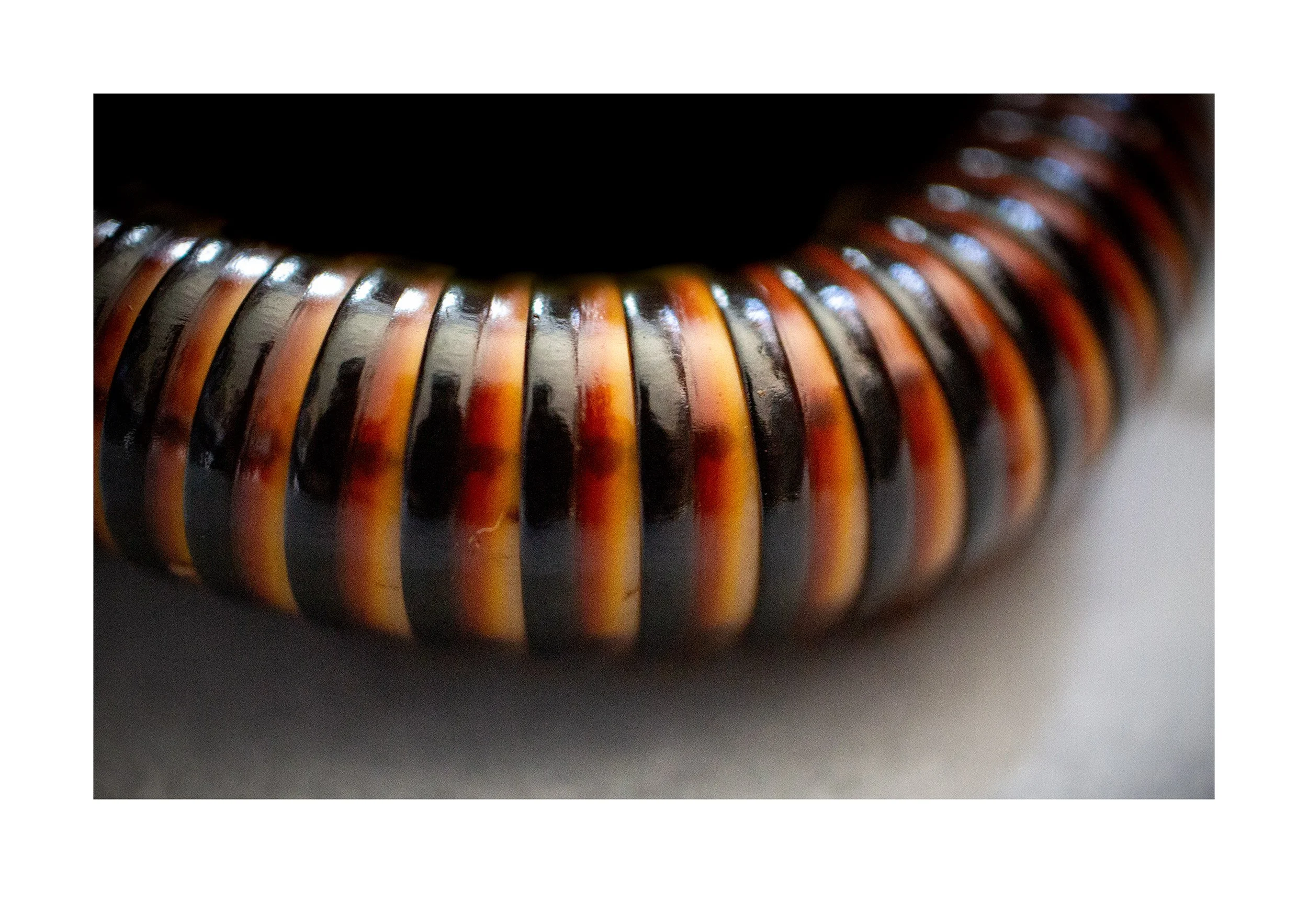 Millipede Coil 001 art print