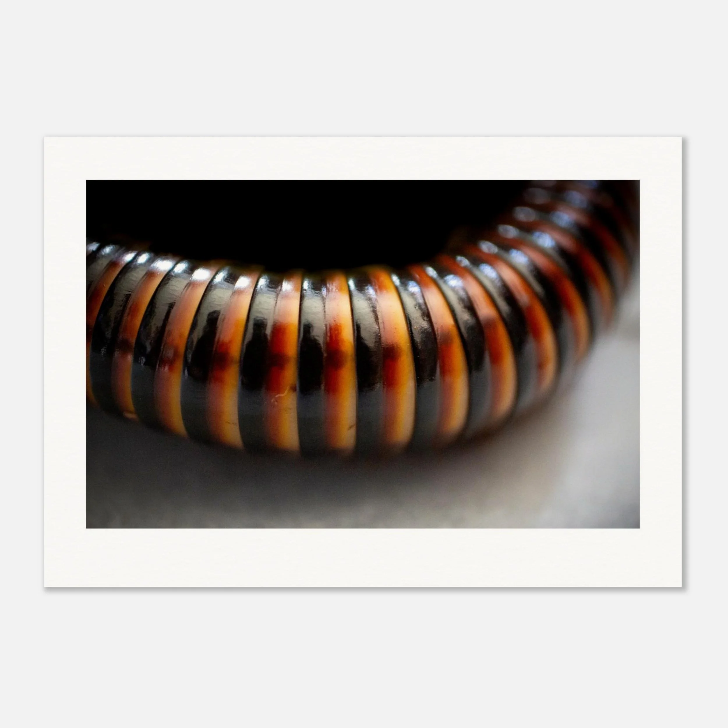 ispods and insect artwork posters