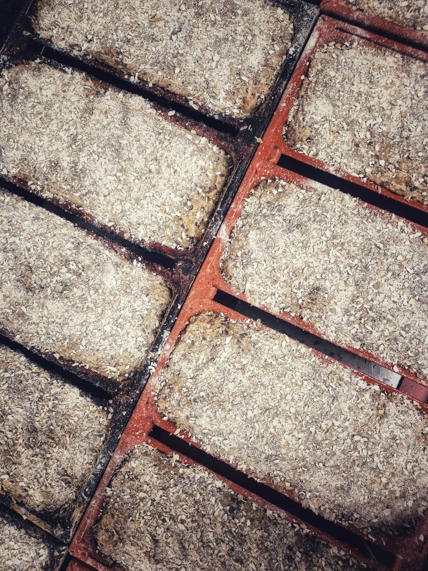 Denne uken er det heilkornbr&oslash;d I hyllene igjen, men n&aring; lager vi til torsdag og fredag 😄

Det virker som annenhver uke p&aring; disse er en bra l&oslash;sning, s&aring; vi fortsetter med det, men n&aring; finner du de da torsdag og freda