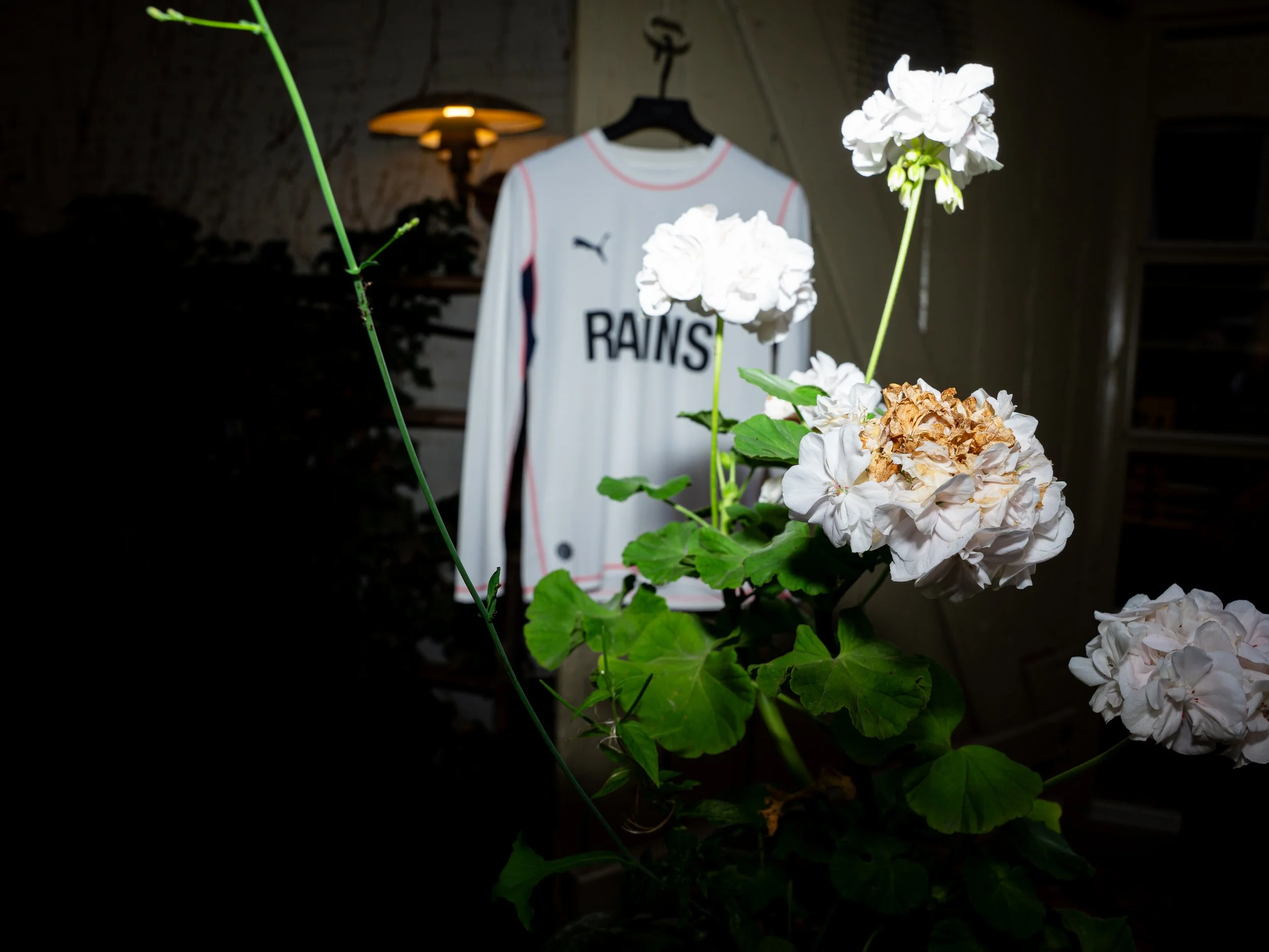 rainsflowers.jpg