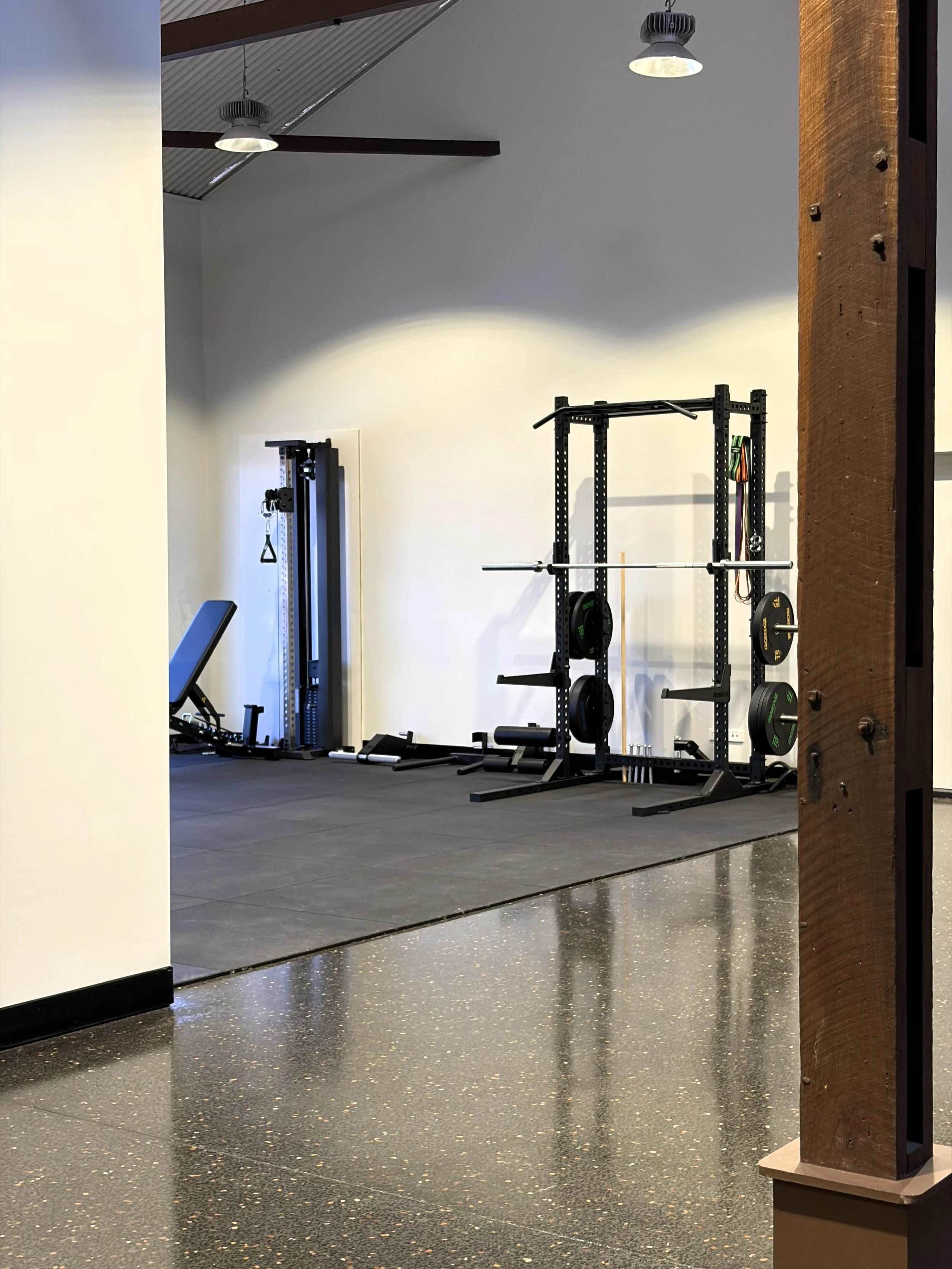 Empty gym with workout equipment, including a squat rack with weight plates, a pull-up bar, and a weight machine, with polished black and gold speckled flooring and a white wall in the background.