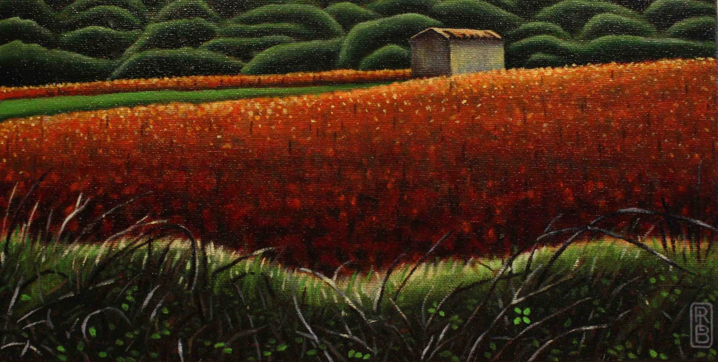morninglightfallvineyard11”x5.75”.jpg