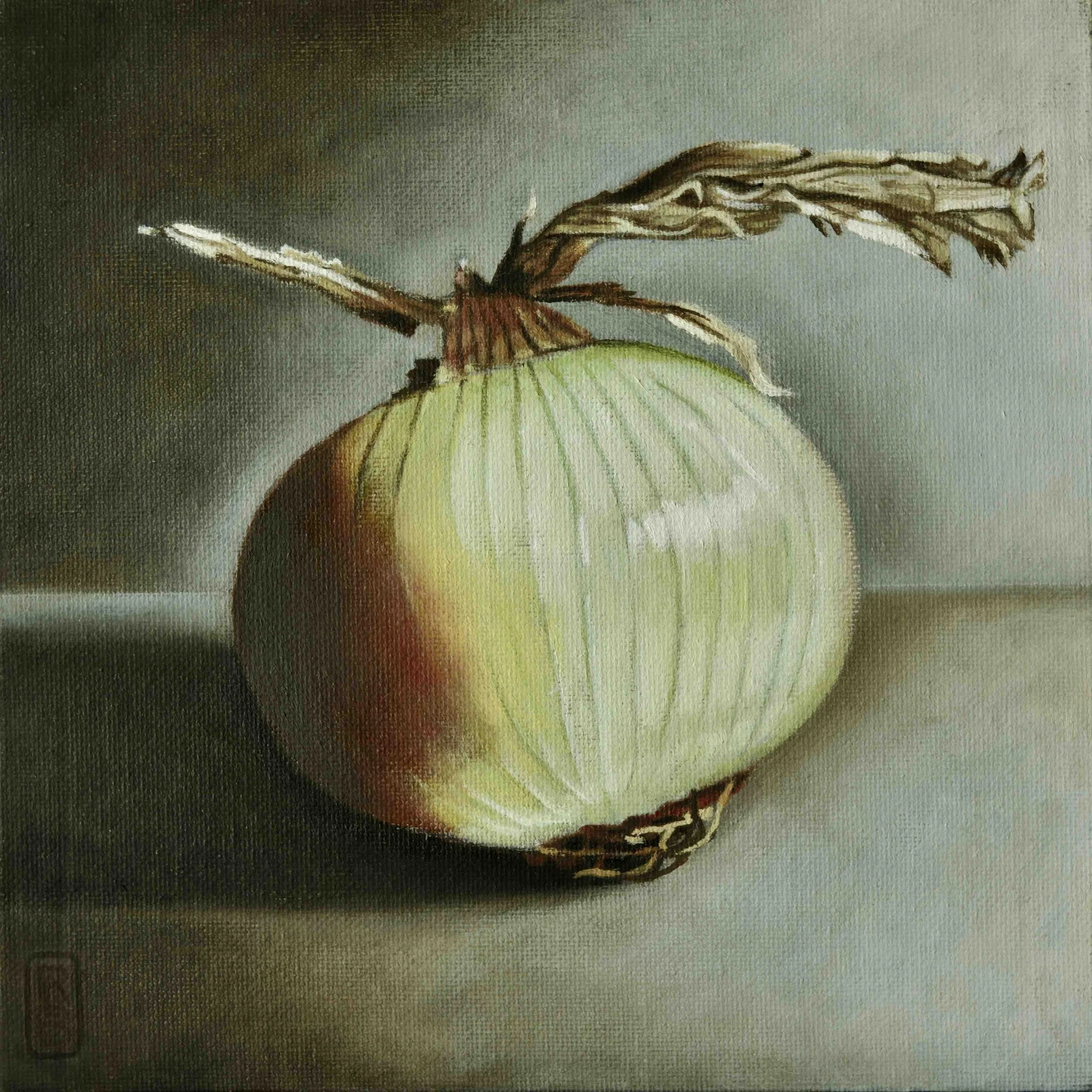 A13. onion.jpeg