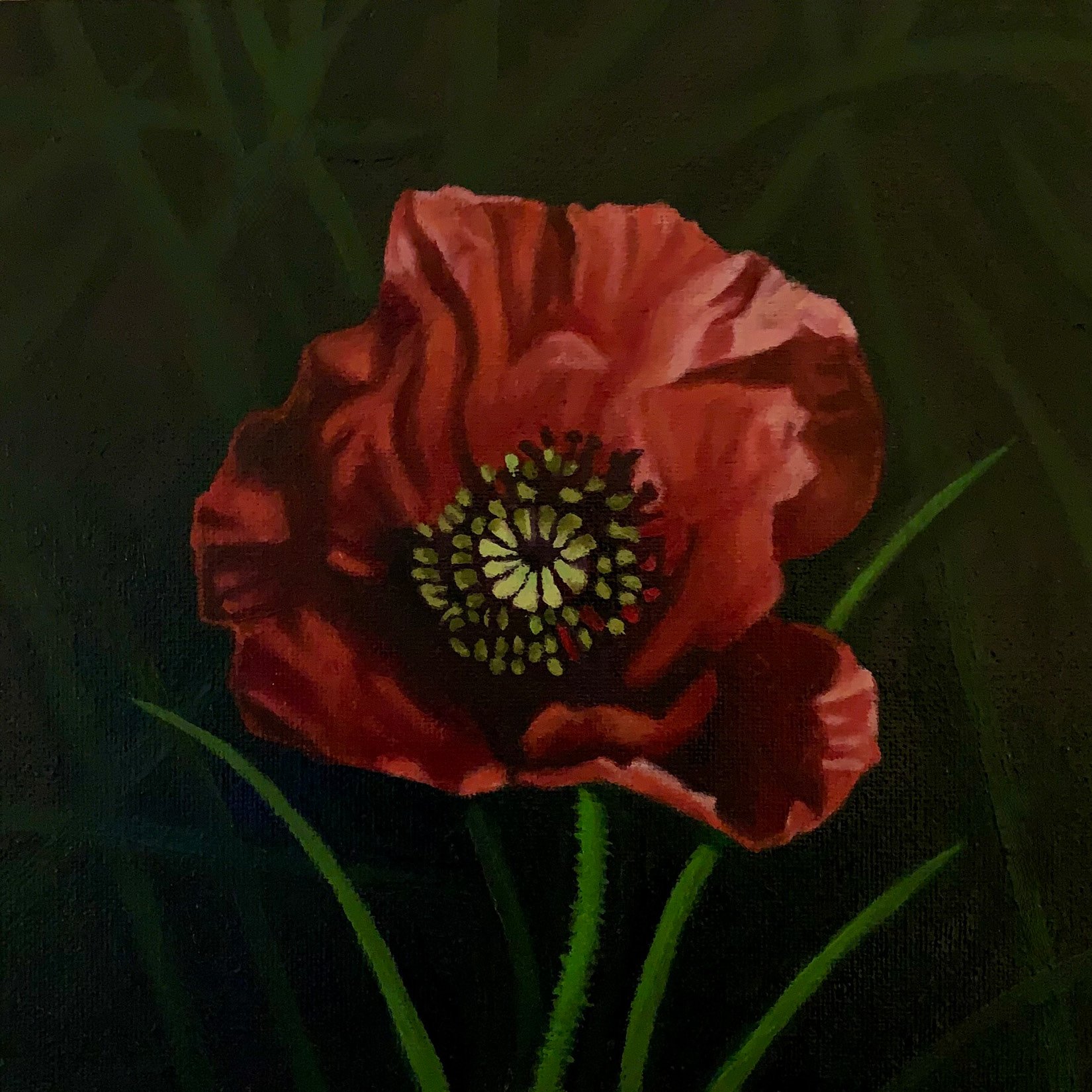 Poppy#3   8" x 8"  $425
