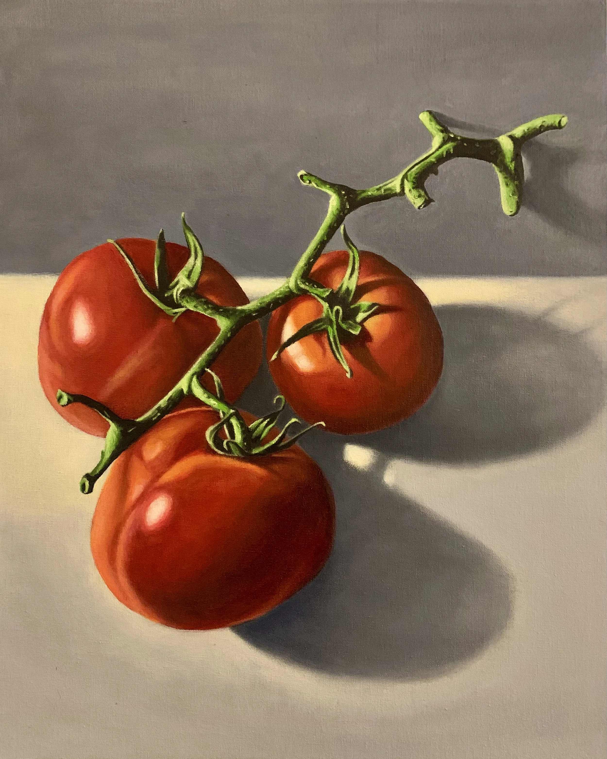 Tomates sur la vigne  16” x 20”  $900