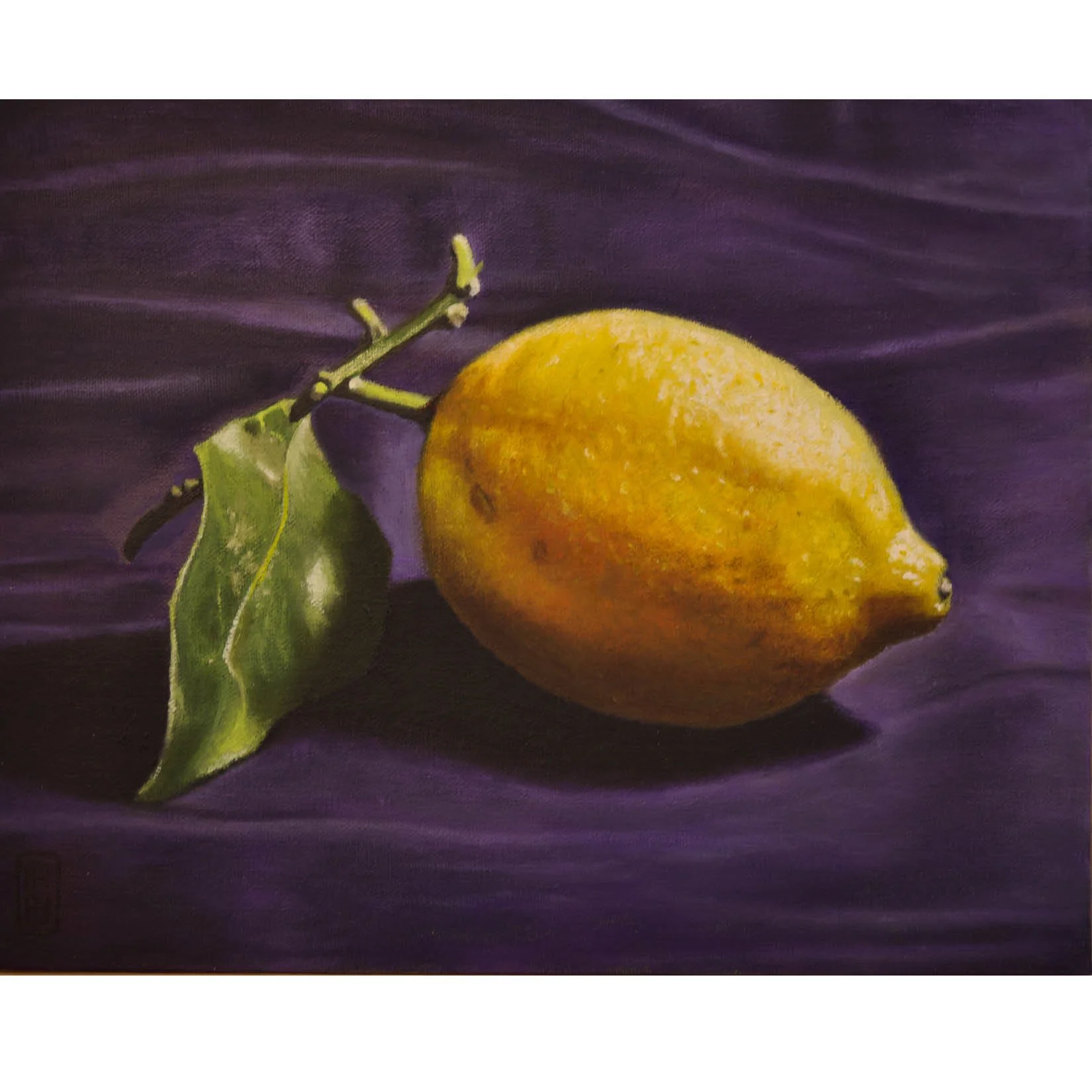 STILL LIFE