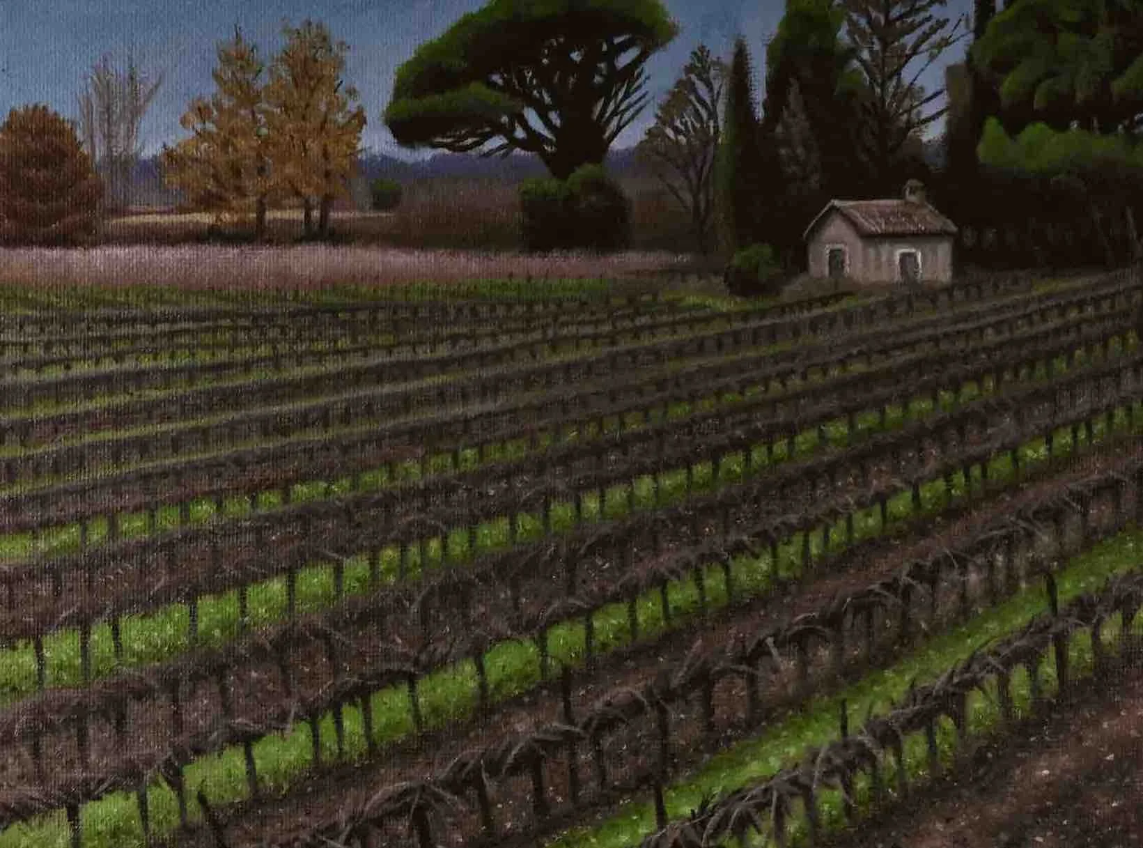 Winter Vineyard  7” x 9.5”  $550  (framed) 