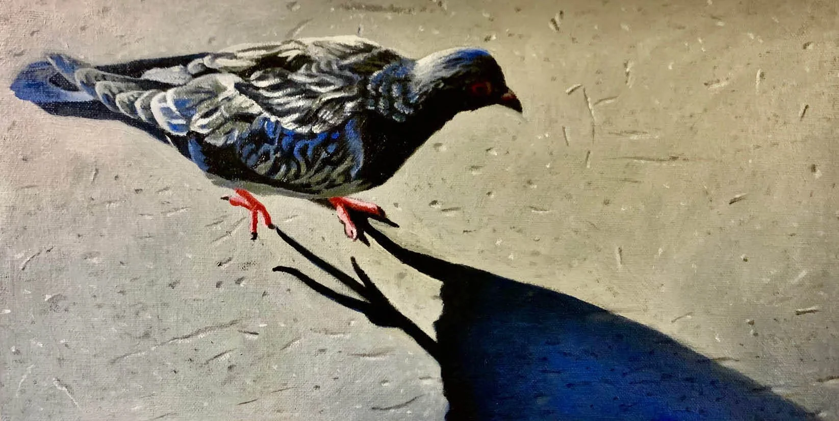 *Pigeon French, French Pigeon  6” x 12”  $1000