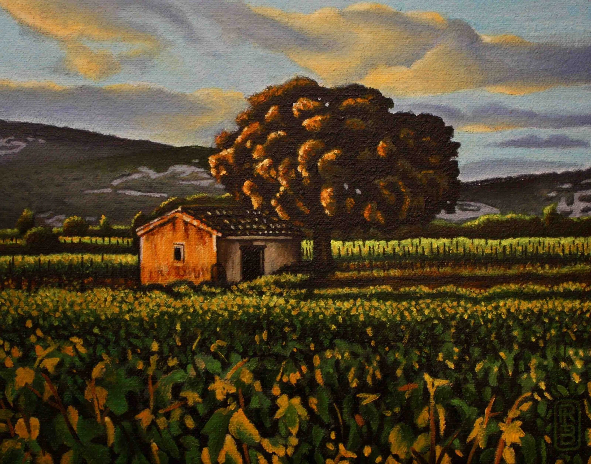 Vineyard near Montpeyroux, France  9” x 7” $475
