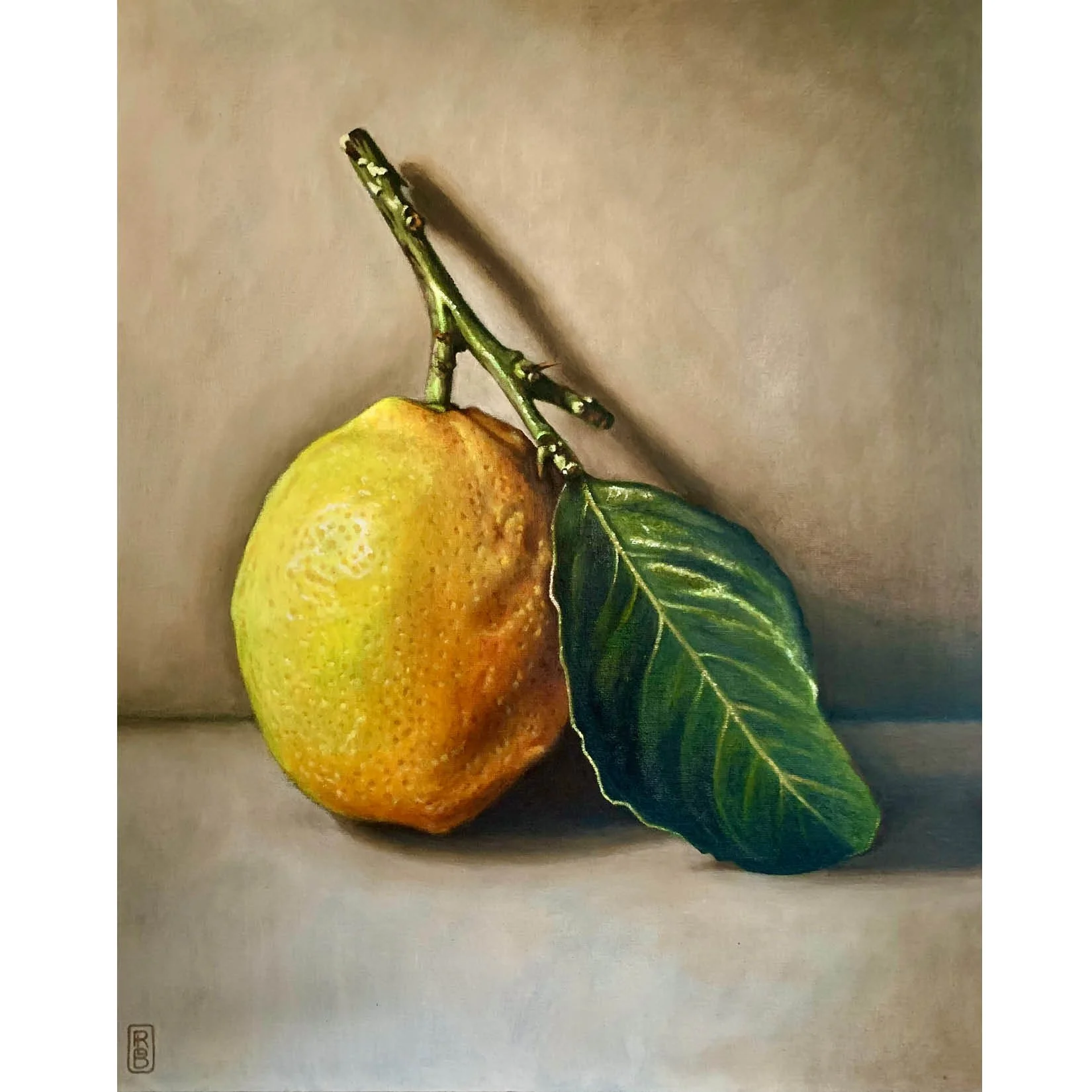 STILL LIFE