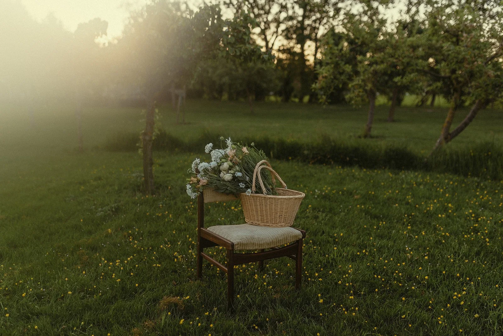 Een houten stoel met een gemakkelijke beige zitting in een grasveld, met daarop een mand vol bloemen, in een landelijke tuin met kleine bomen in de achtergrond bij zonsondergang.