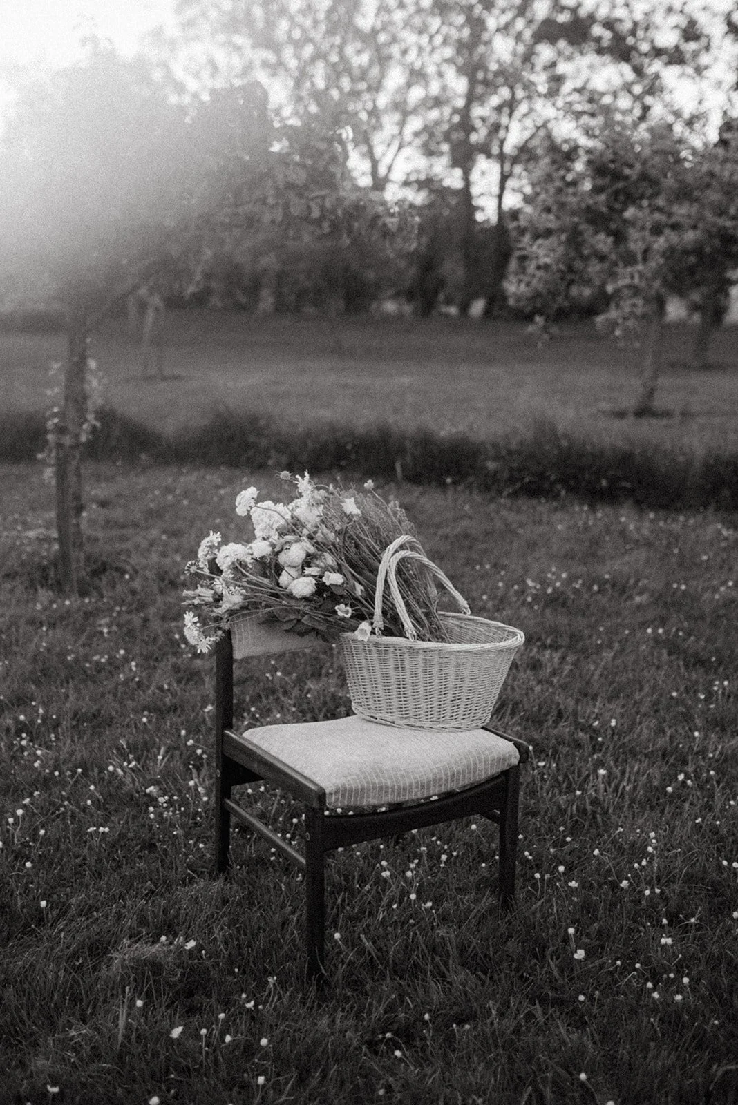 Een houten stoel met een kussen en een mand met bloemen erop, geplaatst in een grasveld, met bomen op de achtergrond, in zwart-wit