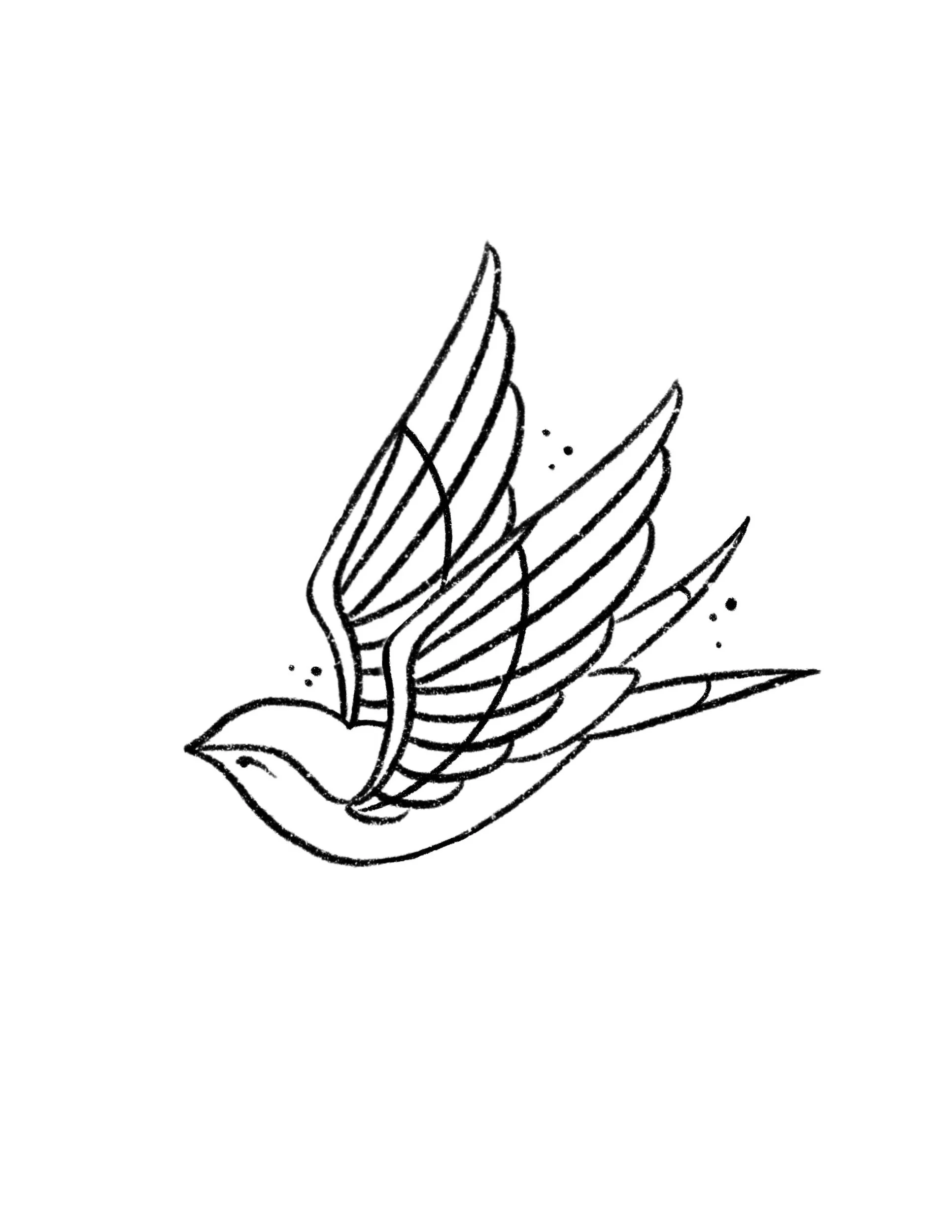 Swallow