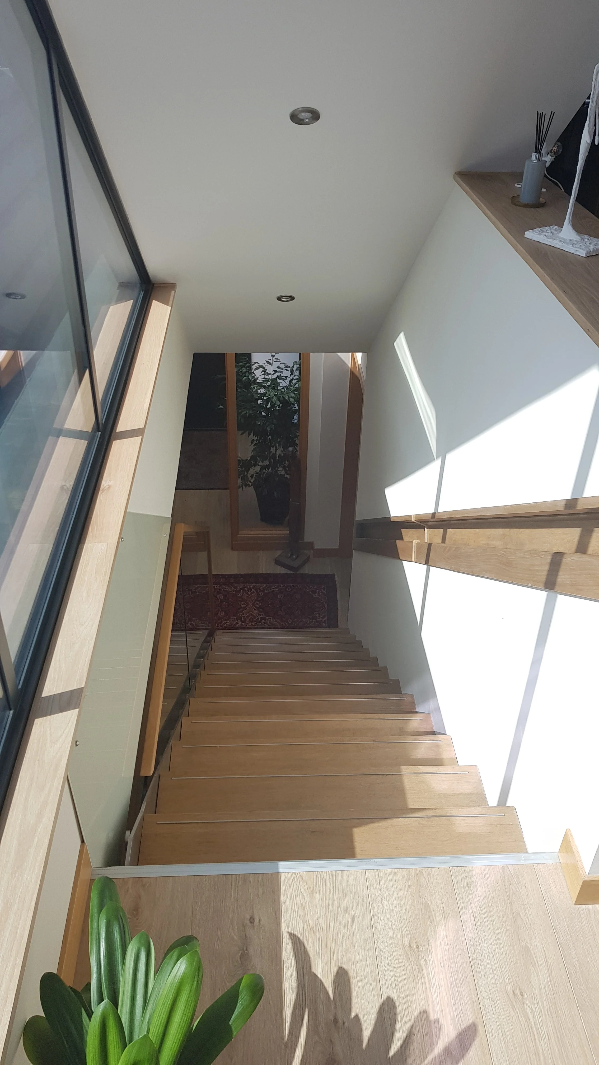 A staircase view from above with wooden steps, a glass railing on the left, and a white wall on the right. Sunlight creates shadows on the wall. At the bottom, there is a simple red and black patterned rug, a potted plant with green leaves, and a woo