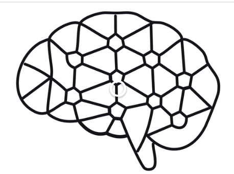 What is Neuroplasticity?