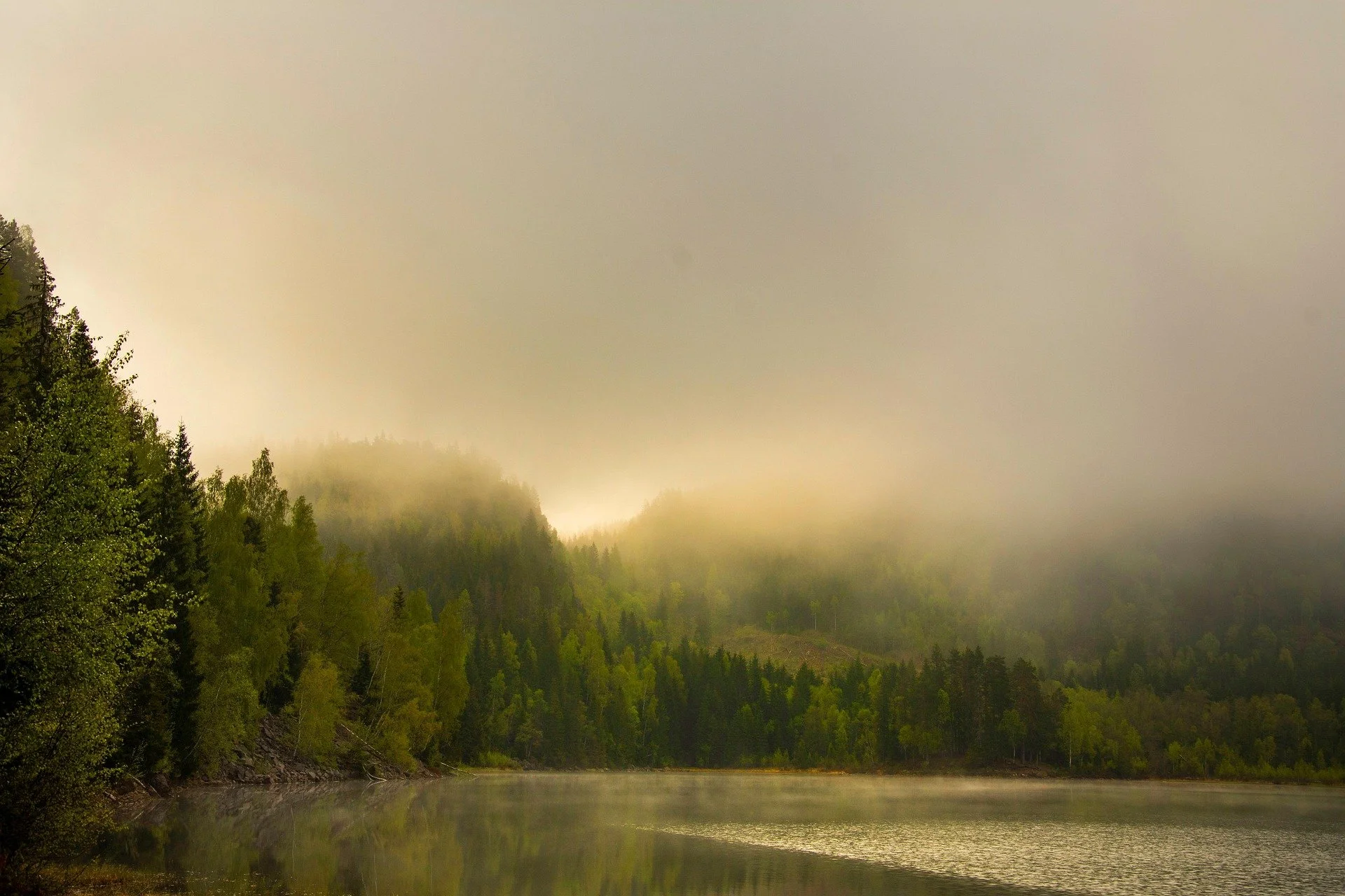 A foggy mountain landscape with dense green trees along a calm lake, and thick fog covering the mountain peaks in the distance.