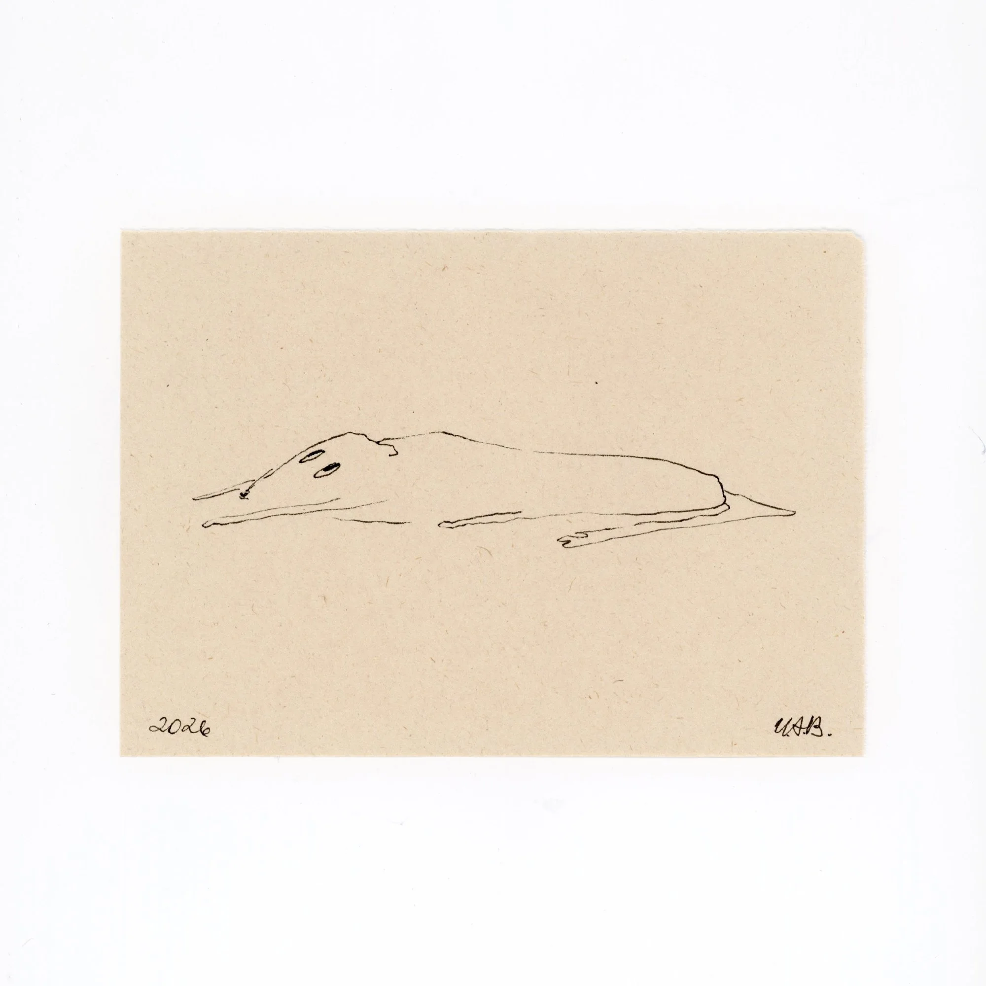 Archive No. 0005