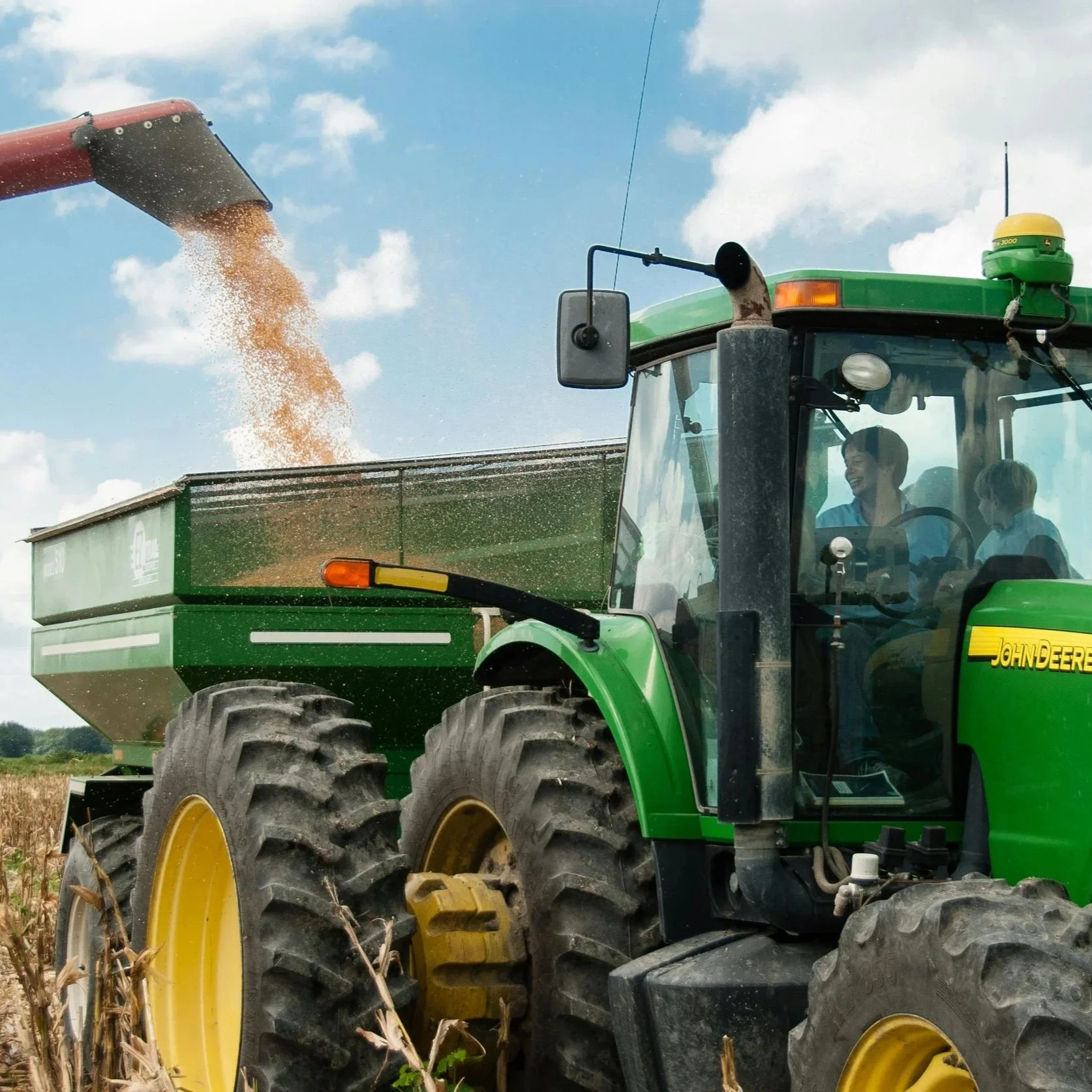 Agribusiness
Value chain complexity, commodity price volatility, sourcing and procurement discipline, logistics infrastructure, and the capital intensity of a sector where the interdependencies between production, processing, and market access are st