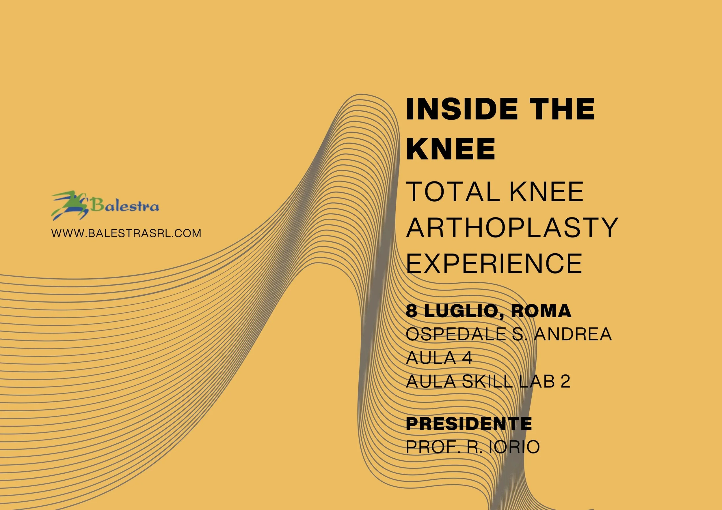 INSIDE THE KNEE – TOTAL KNEE ARTHOPLASTY EXPERIENCE 