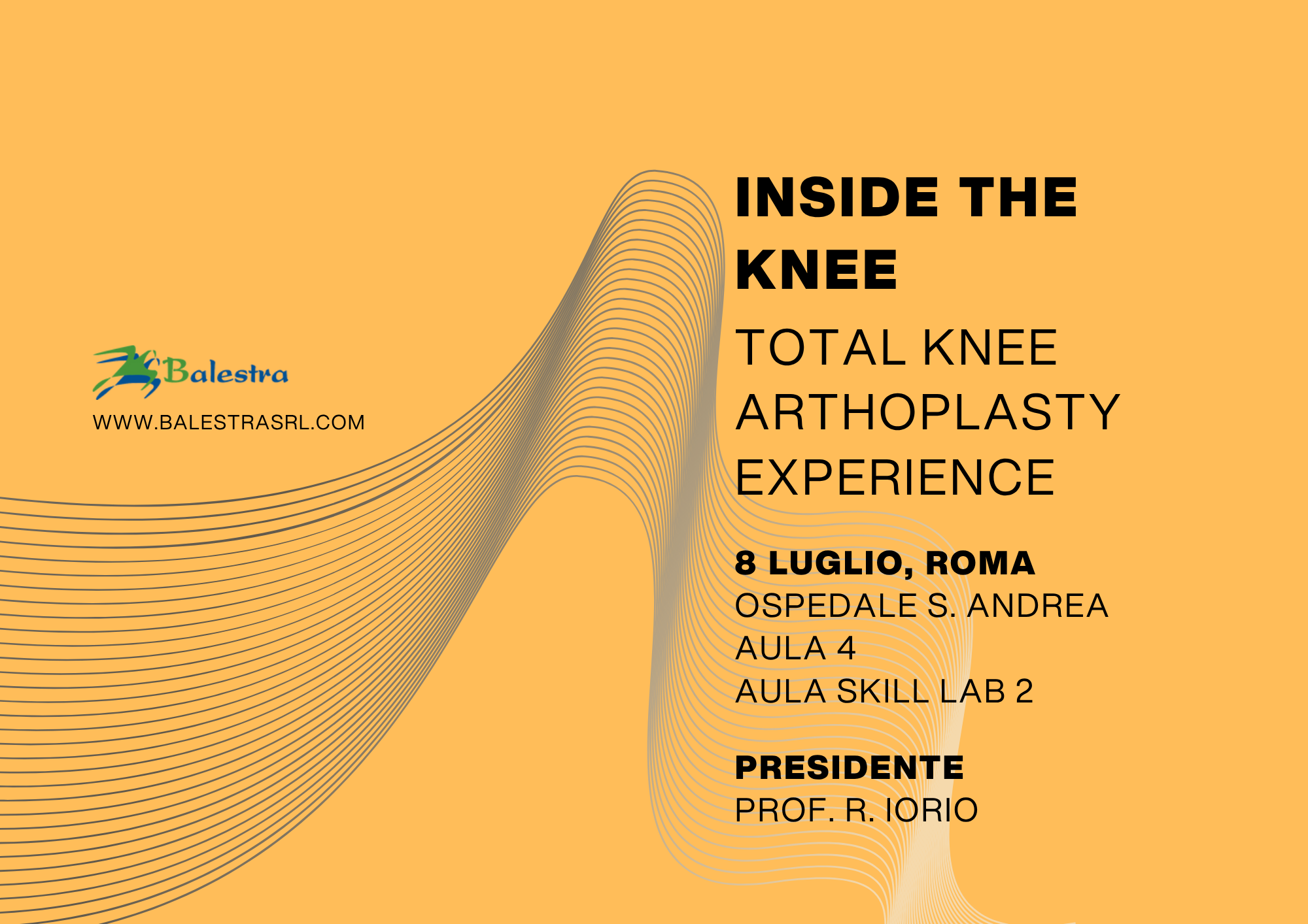 INSIDE THE KNEE – TOTAL KNEE ARTHOPLASTY EXPERIENCE 