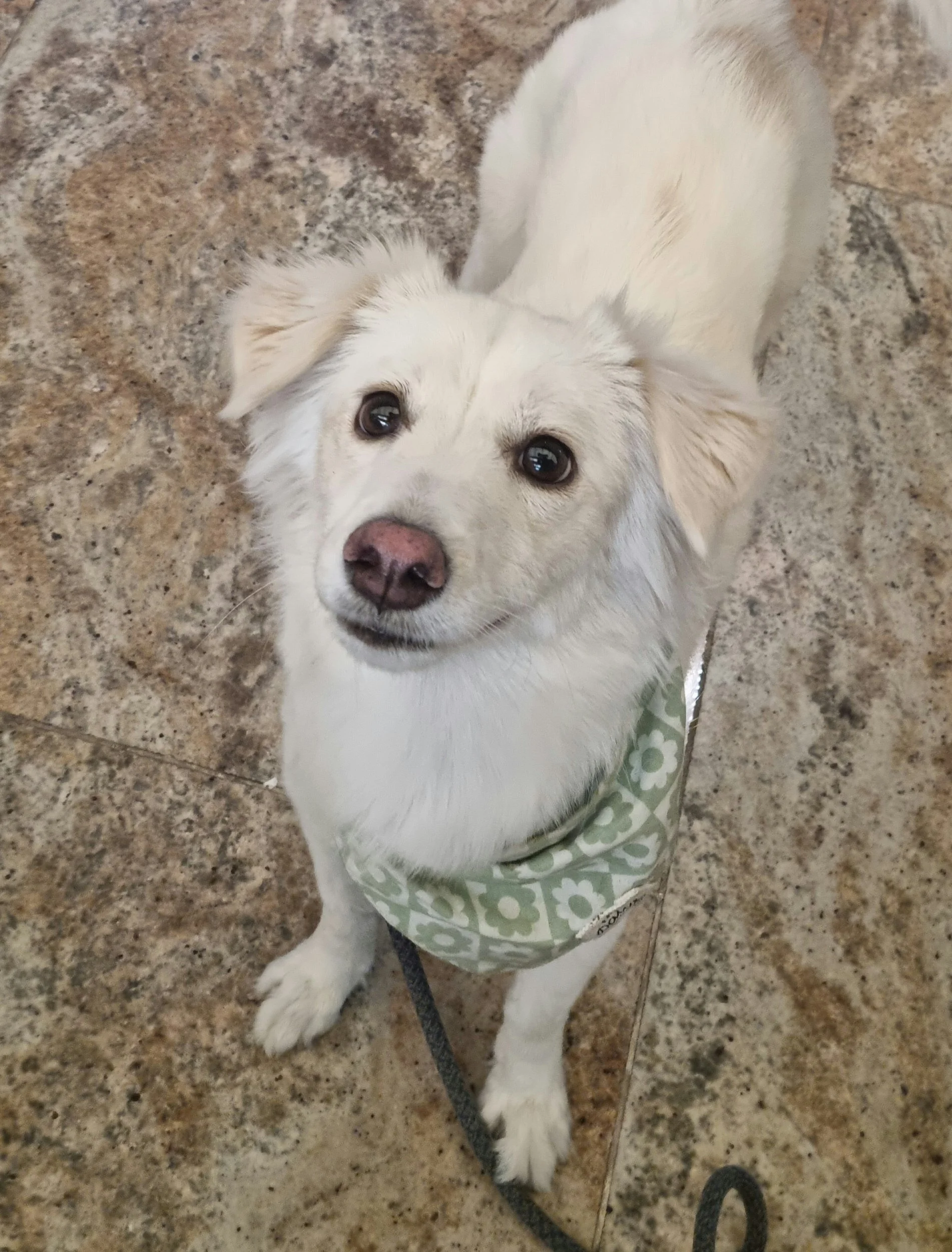 Coco's relief